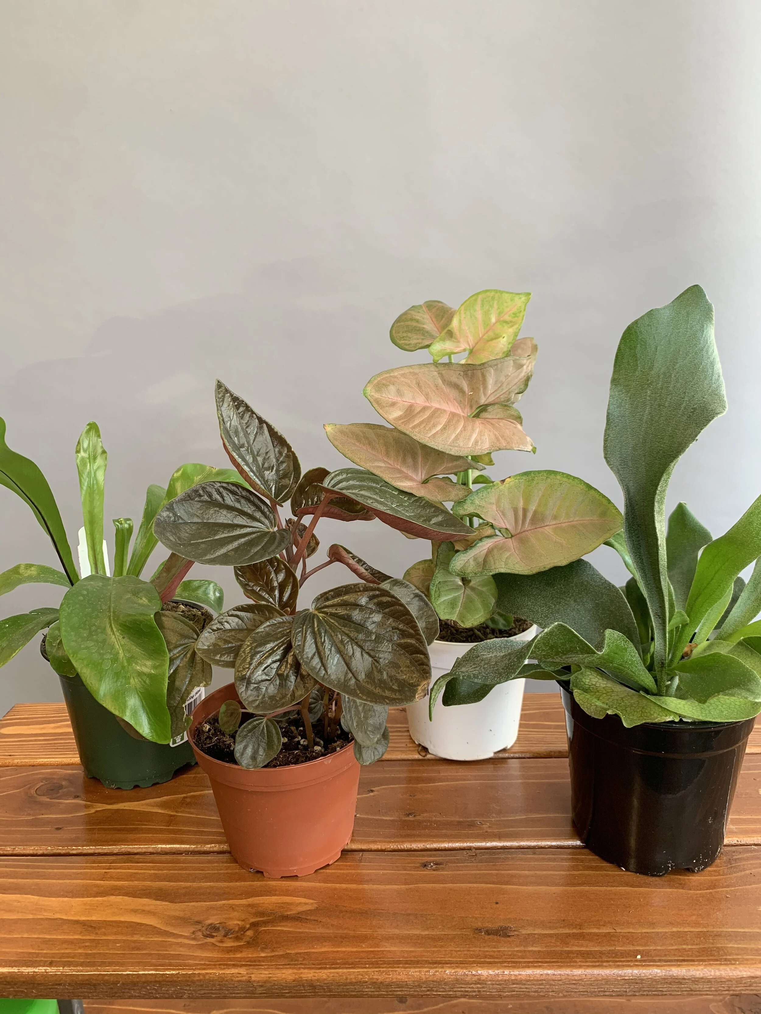 FE364F5D-5707-4B8A-9D8A-5E2C99C3688F