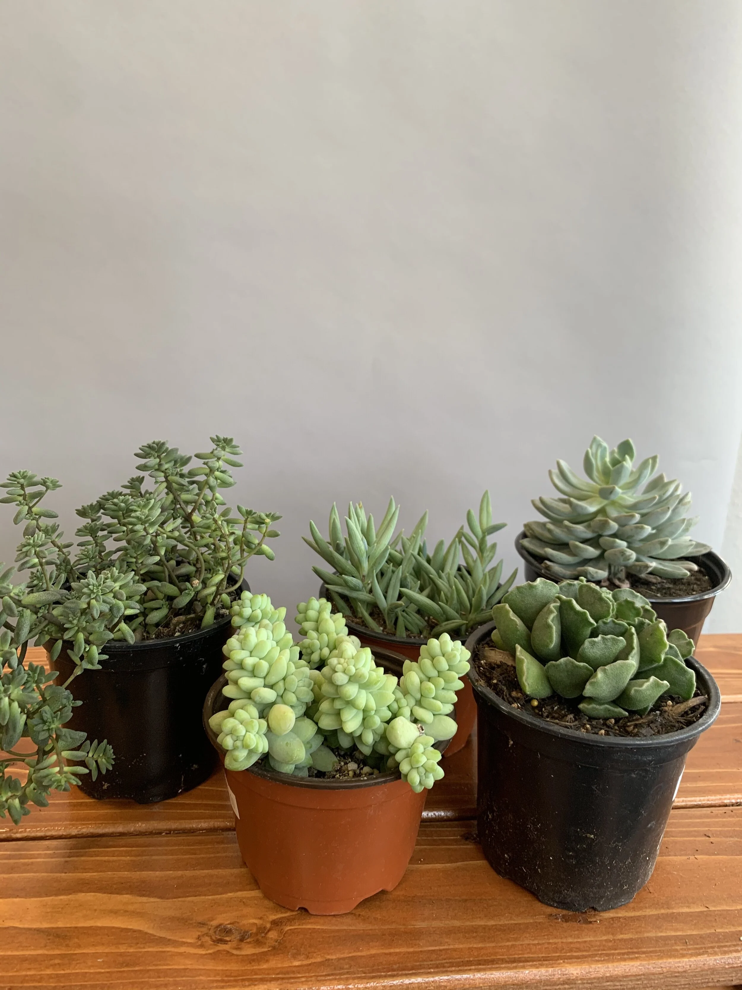 3933C670-3FAC-4C93-8357-0676E7E12AD6