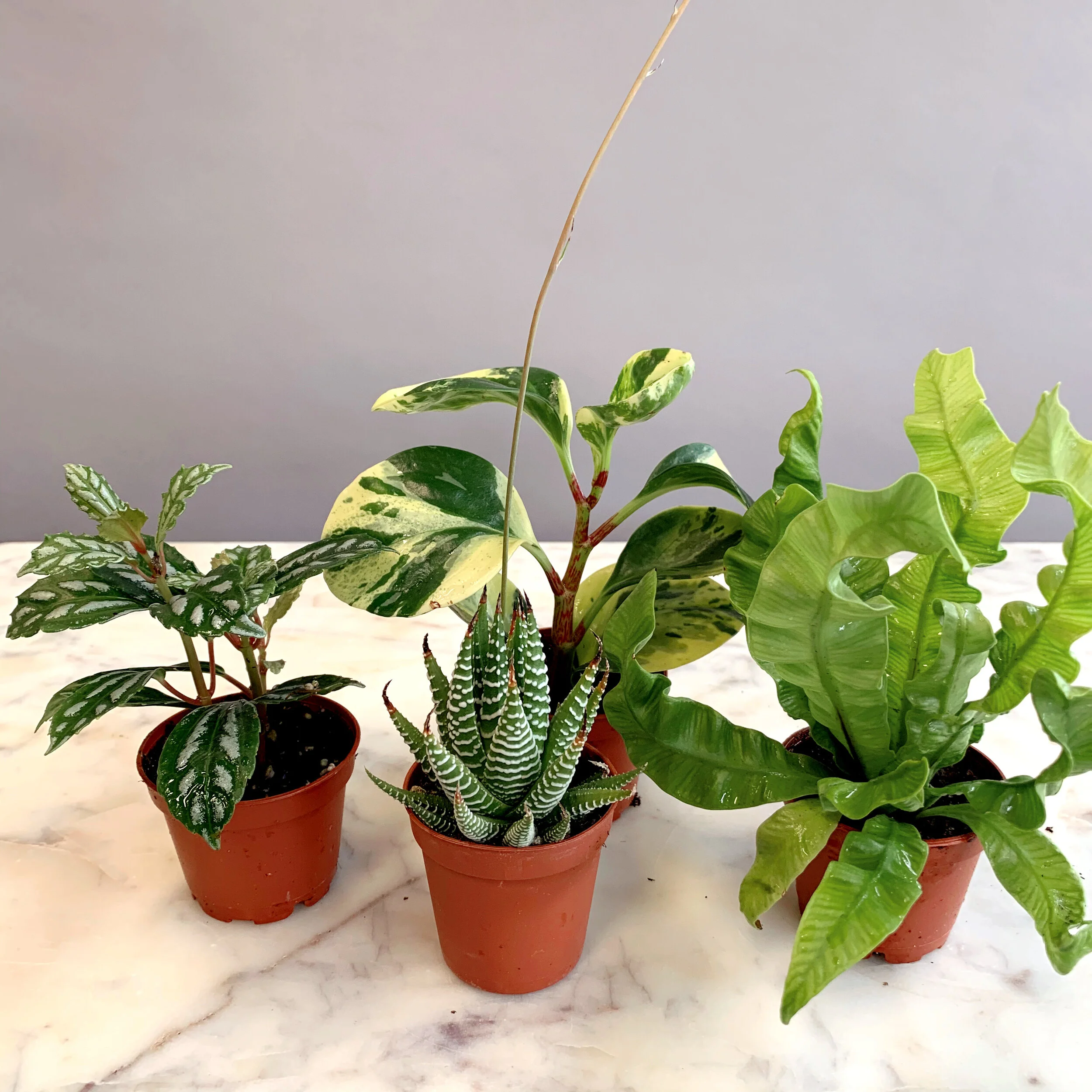 94BA5F8B-3658-4C64-AA06-1582EBCA6BD4