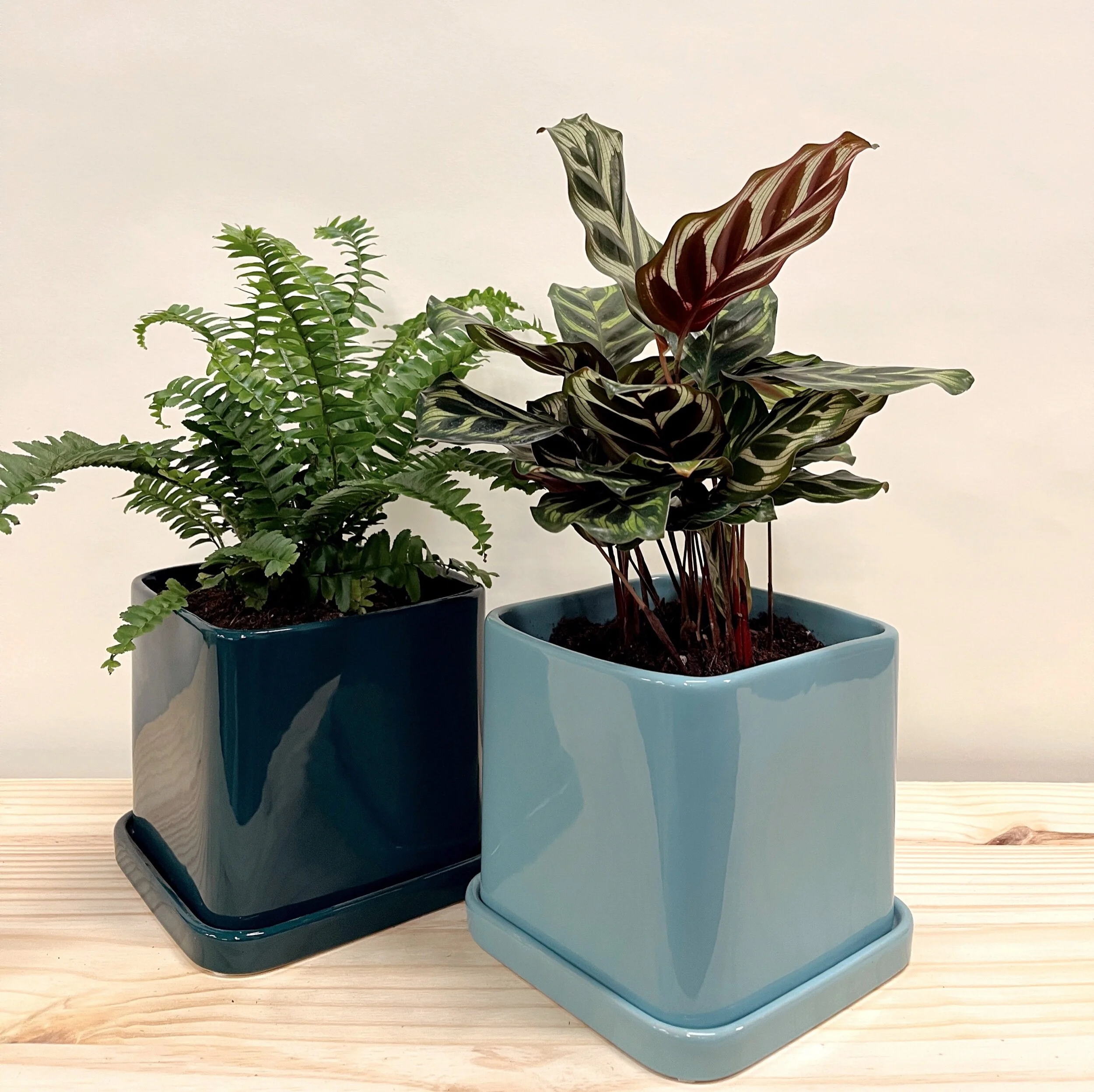 4C470680-D760-4B57-900D-82210E2D2DE7