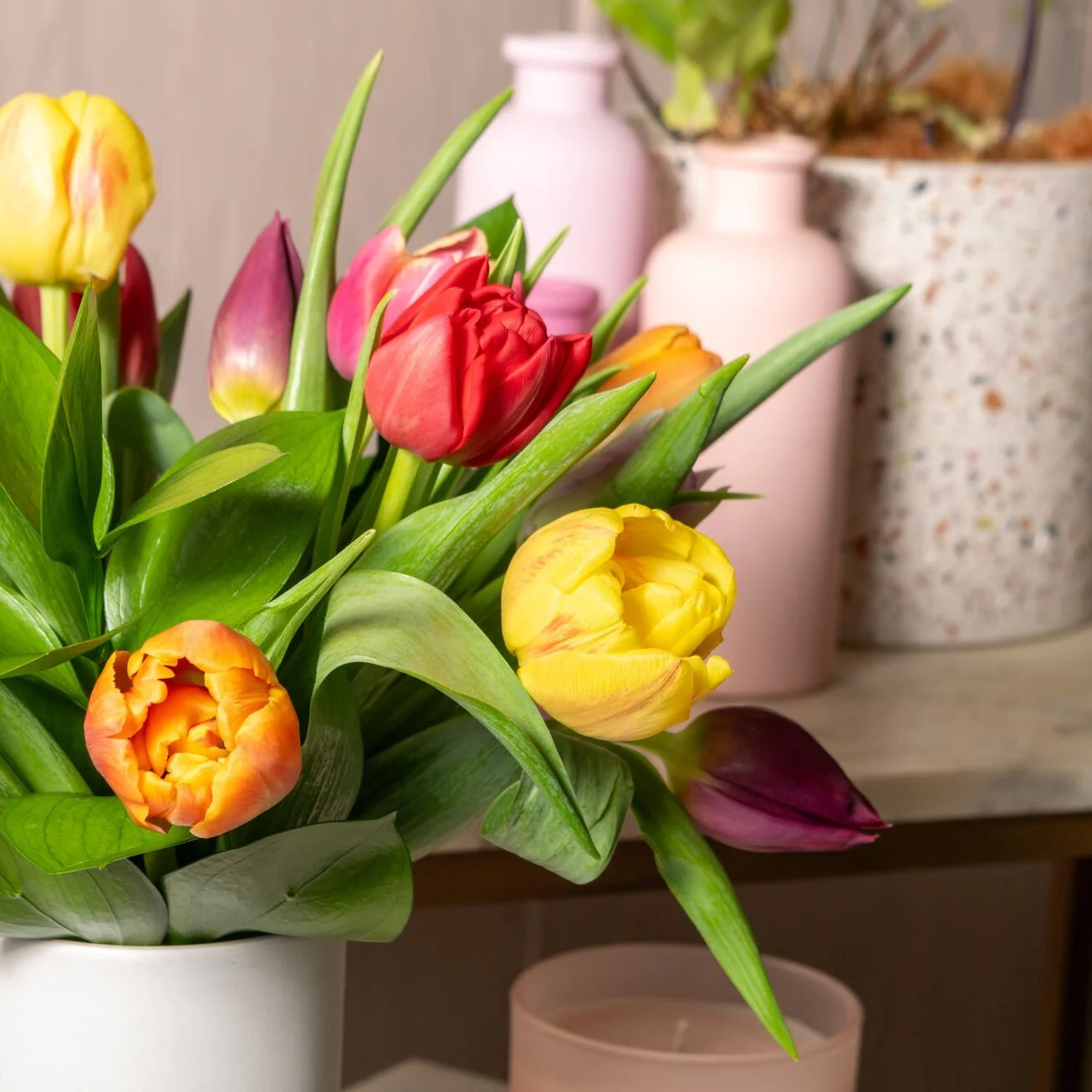 Tulips solo small.jpg