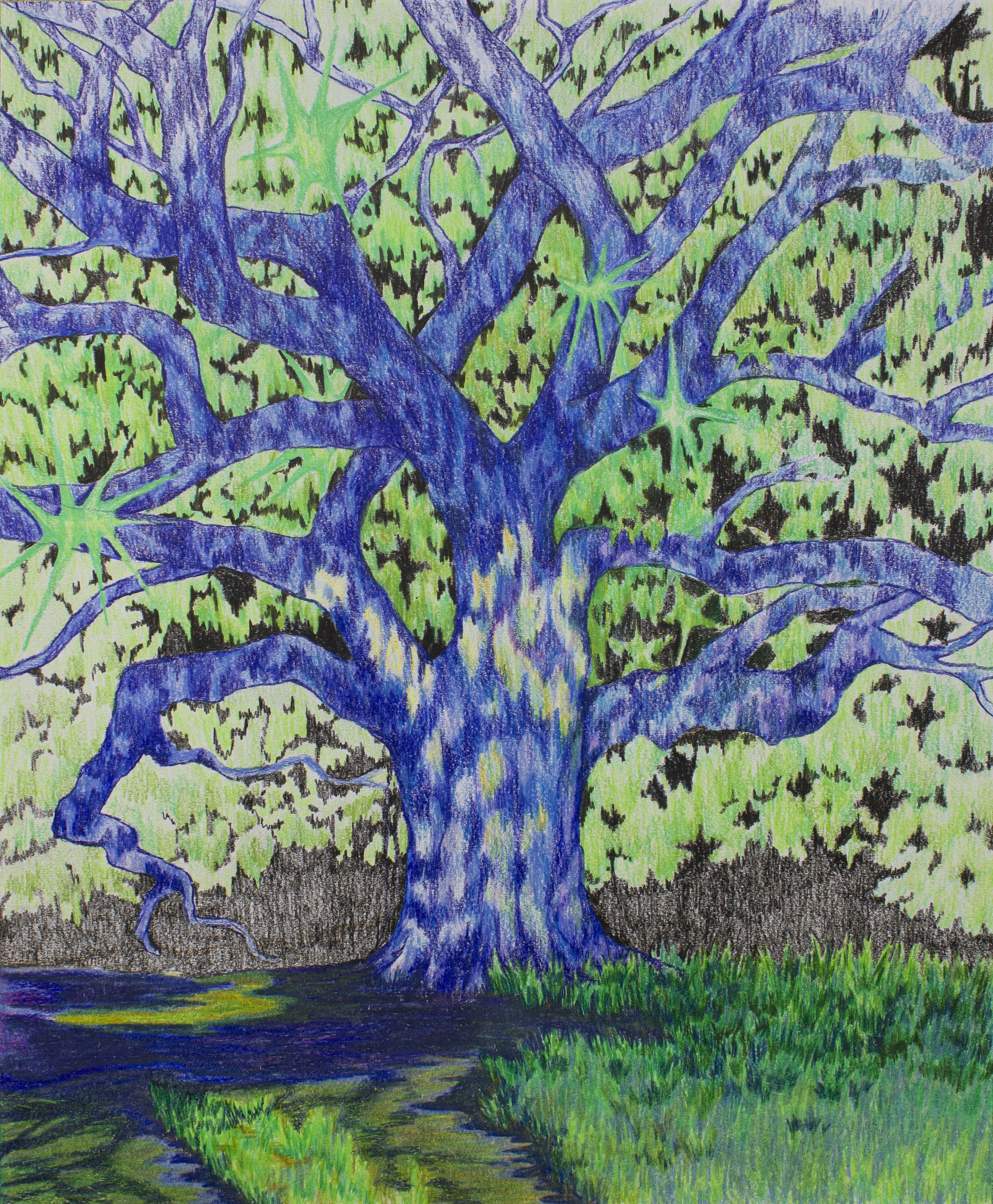 You are my favorite neighborhood tree