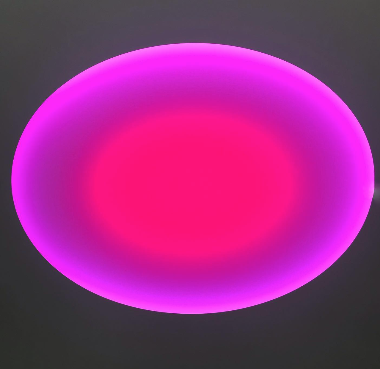 James Turrell pink artwork - Art Asset Management Group Appraisal Valuation Expert Beverly Hills Los Angeles