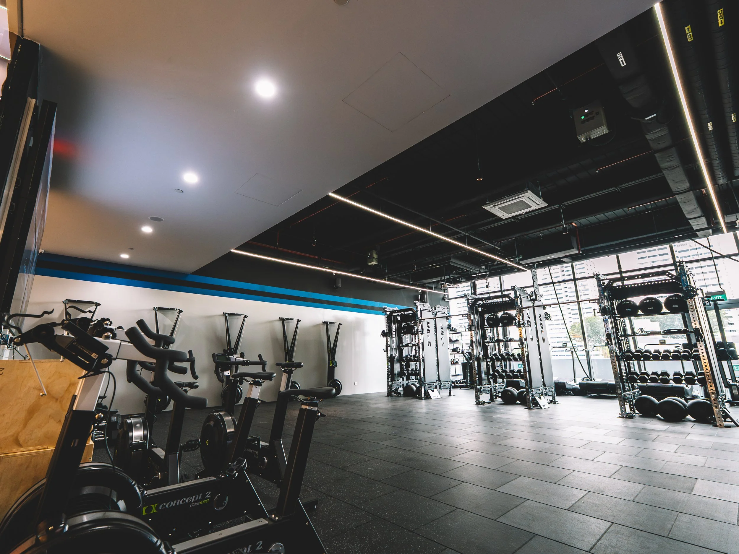 mob ec interior-3.jpg