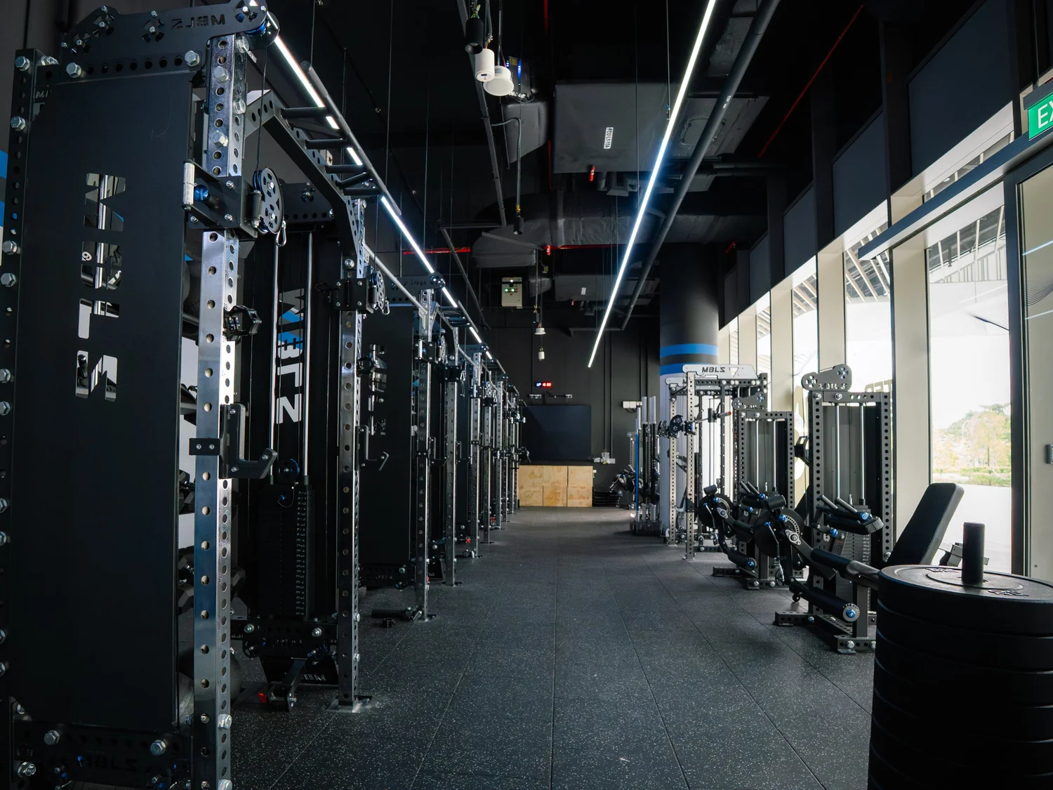 Mobilus Labrador — CrossFit Mobilus Singapore