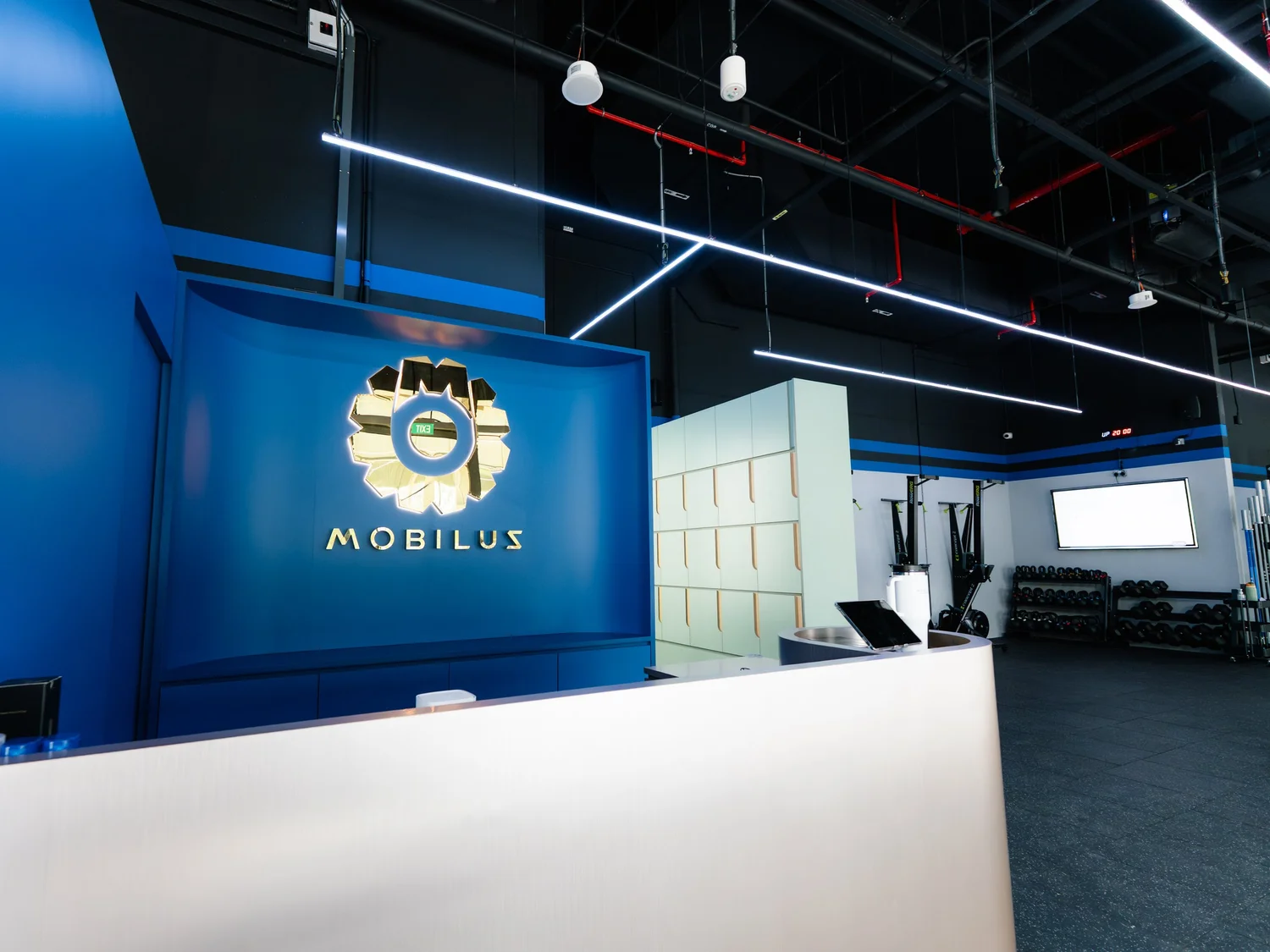 Mobilus Labrador — CrossFit Mobilus Singapore