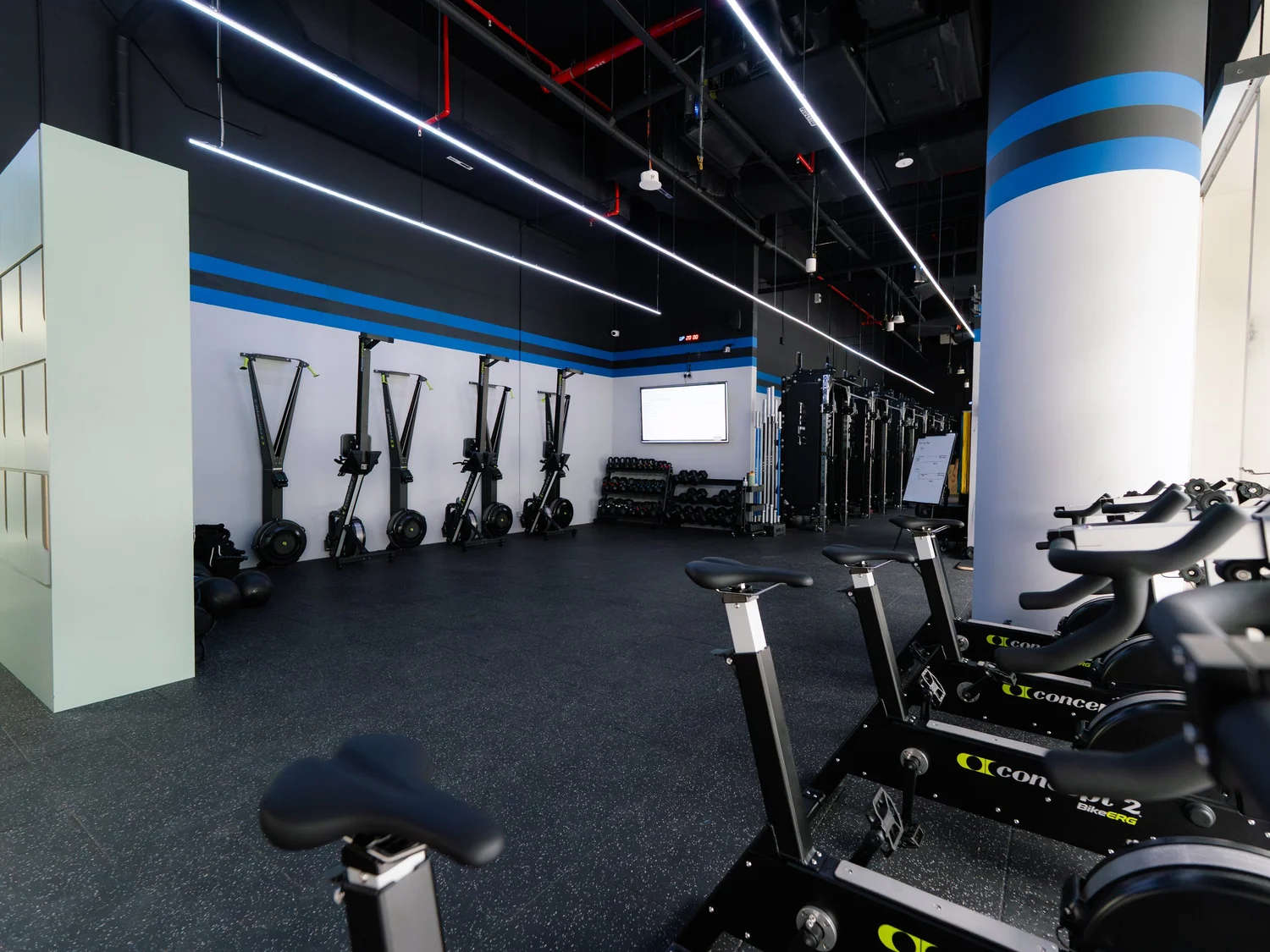 Mobilus Labrador — CrossFit Mobilus Singapore
