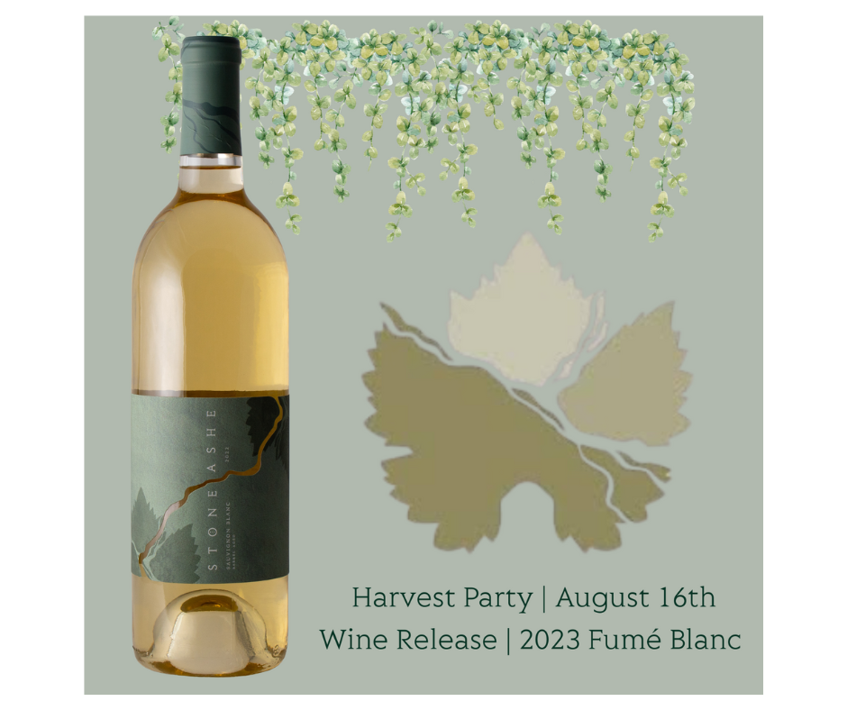 Harvest Party