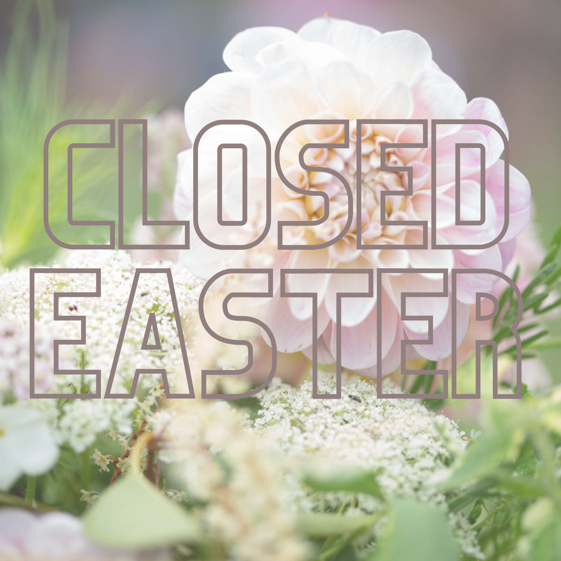 Closed Easter Sunday