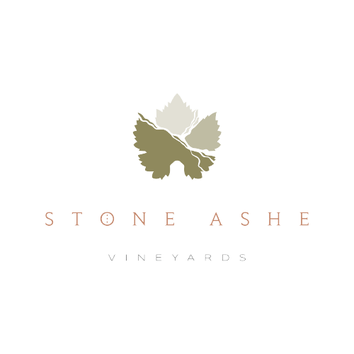 Stone Ashe 