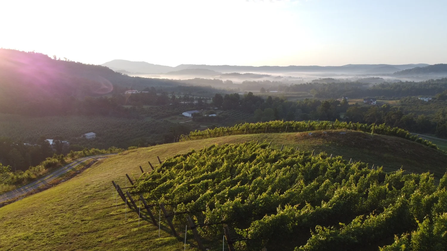 Winery & Vineyard In Hendersonville NC Stone Ashe Vineyard
