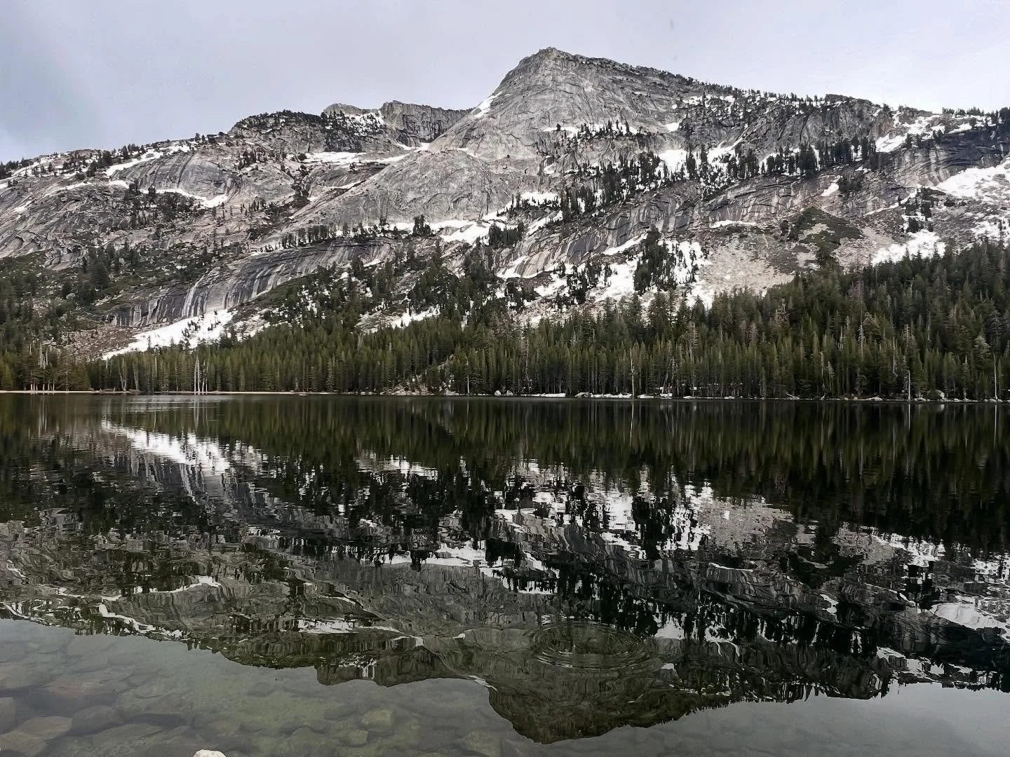 May 31st - A drive through Tuolumne Meadows and down Tioga Pass. The lakes were beautiful and still a little frozen. Yosemite has so much beautiful, diverse landscape to see. 

#tiogapass #tuolumnemeadows #tenayalake