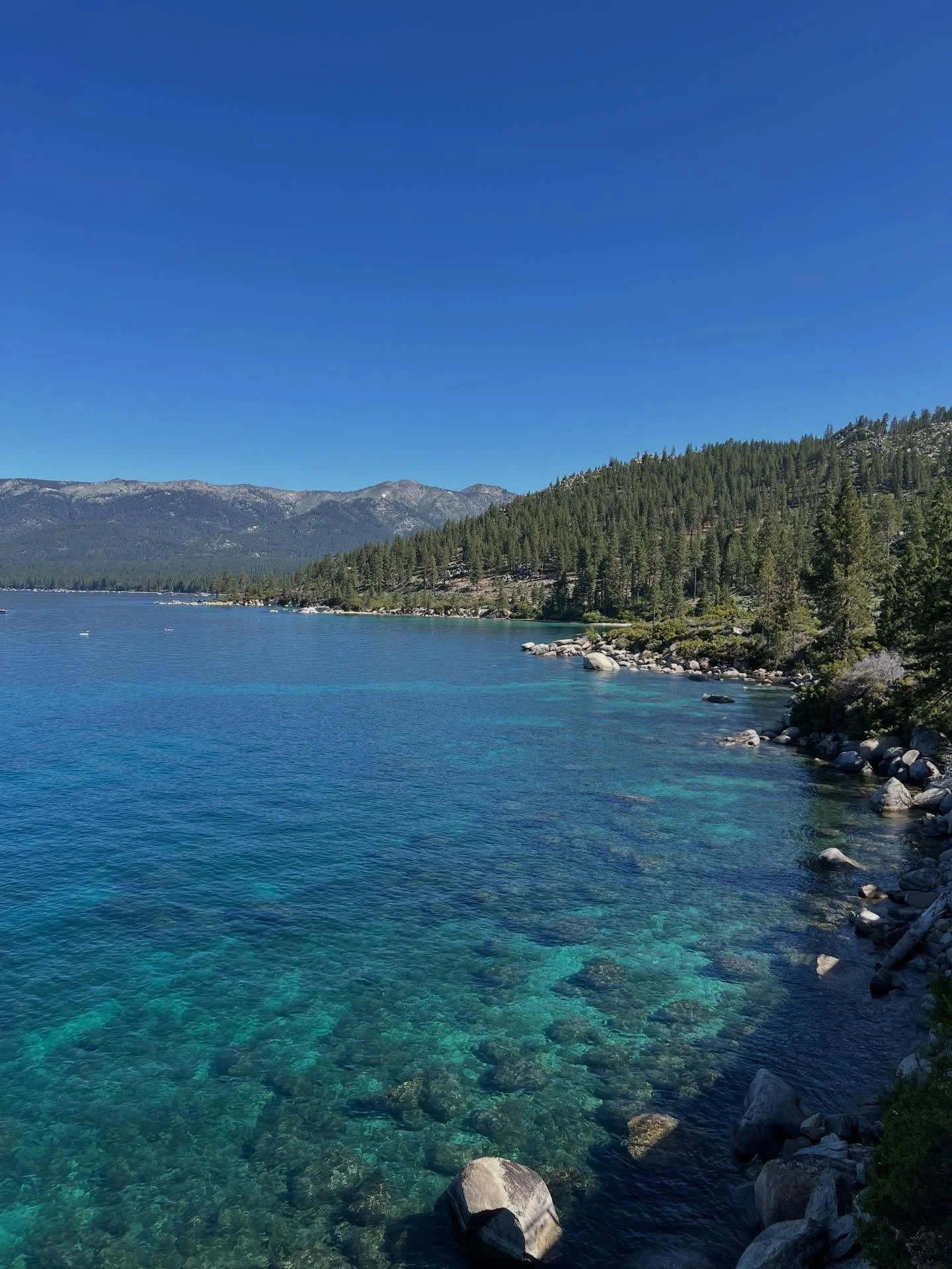 Summertime in Lake Tahoe is so gorgeous! That blue of the water is magical. #laketahoe #tahoeblue #keeptahoeblue 🩵💙🩵