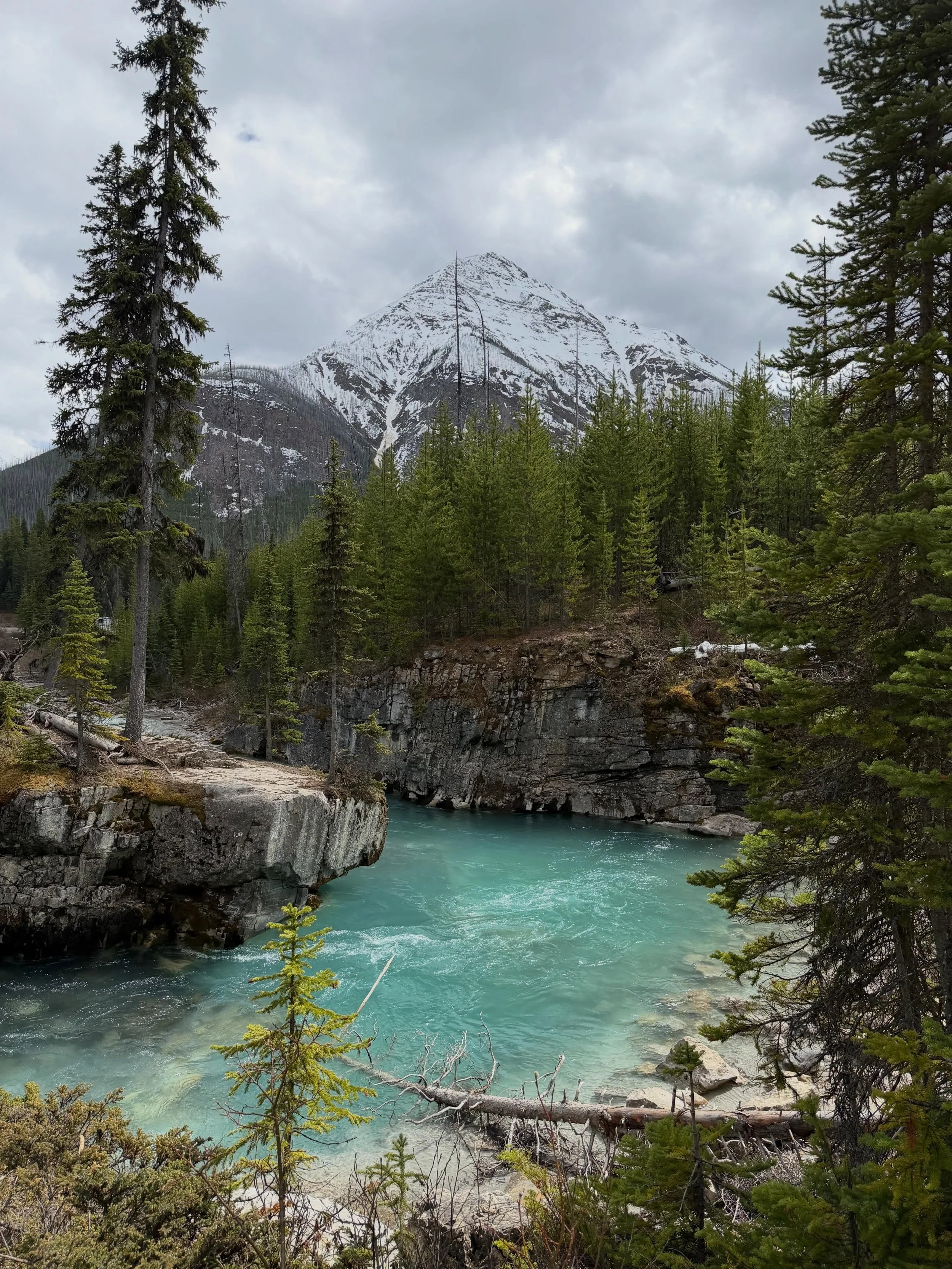📍Kootenay National Park

We made a quick trip over to Kootenay National park to Marble Canyon. It&rsquo;s a short 1/2 mile out and back hike with gorgeous views up the tight canyon and of the waterfall at the top. 
We also crossed the continental di