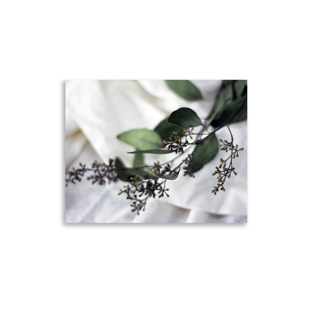 premium-luster-photo-paper-poster-(in)-11x14-front-69d9d8f42a8fe.jpg