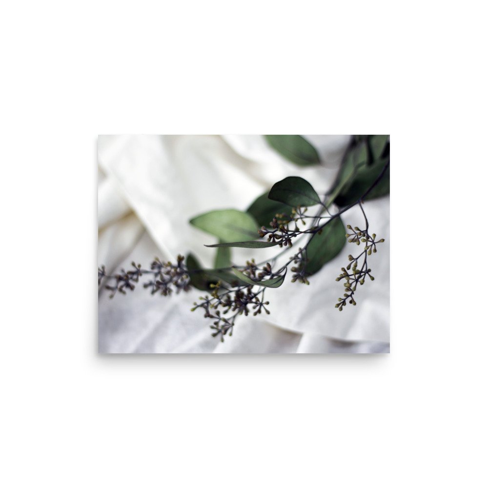 premium-luster-photo-paper-poster-(in)-12x16-front-69d9d8f427393.jpg