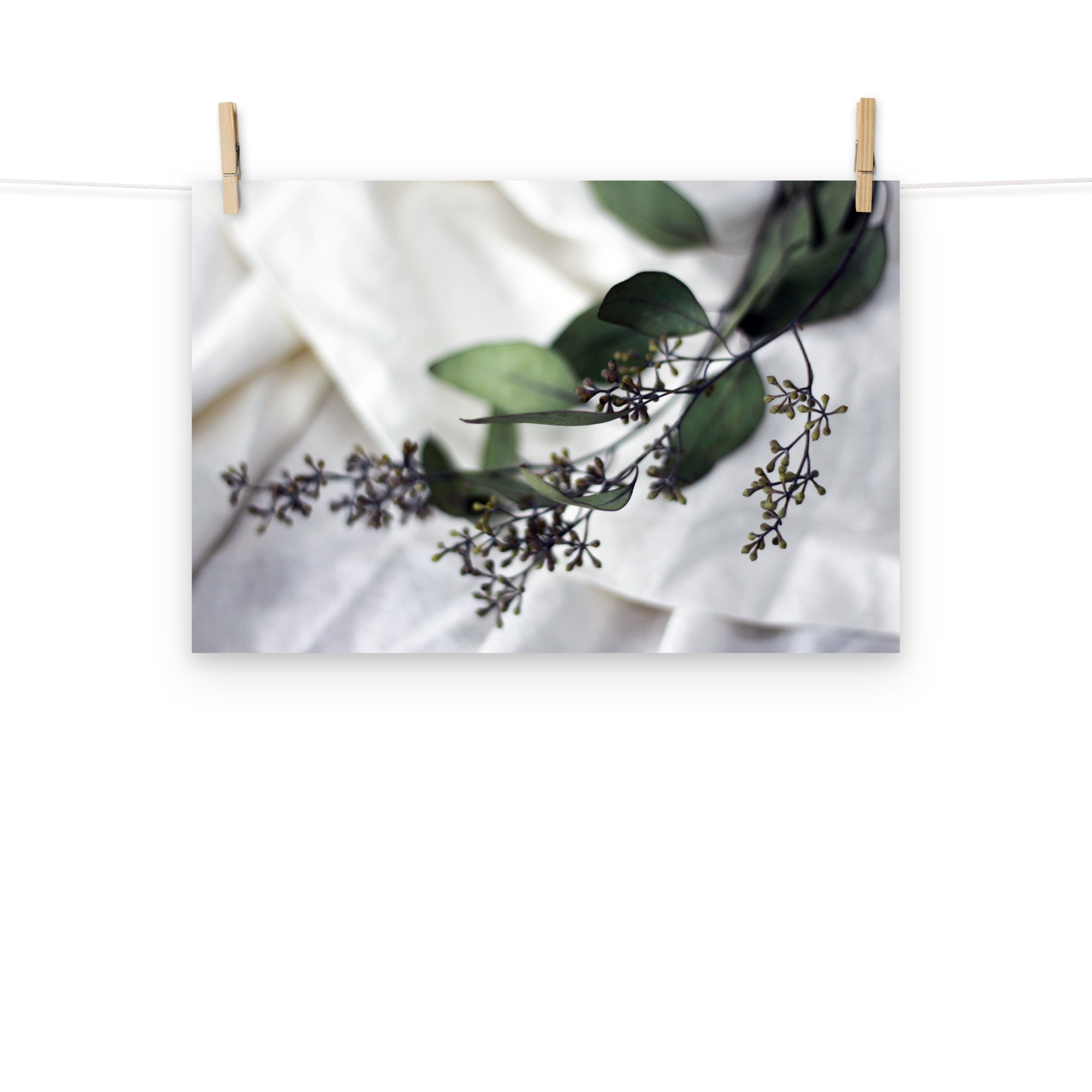 premium-luster-photo-paper-poster-(in)-12x18-front-69d9d8f425a52.jpg