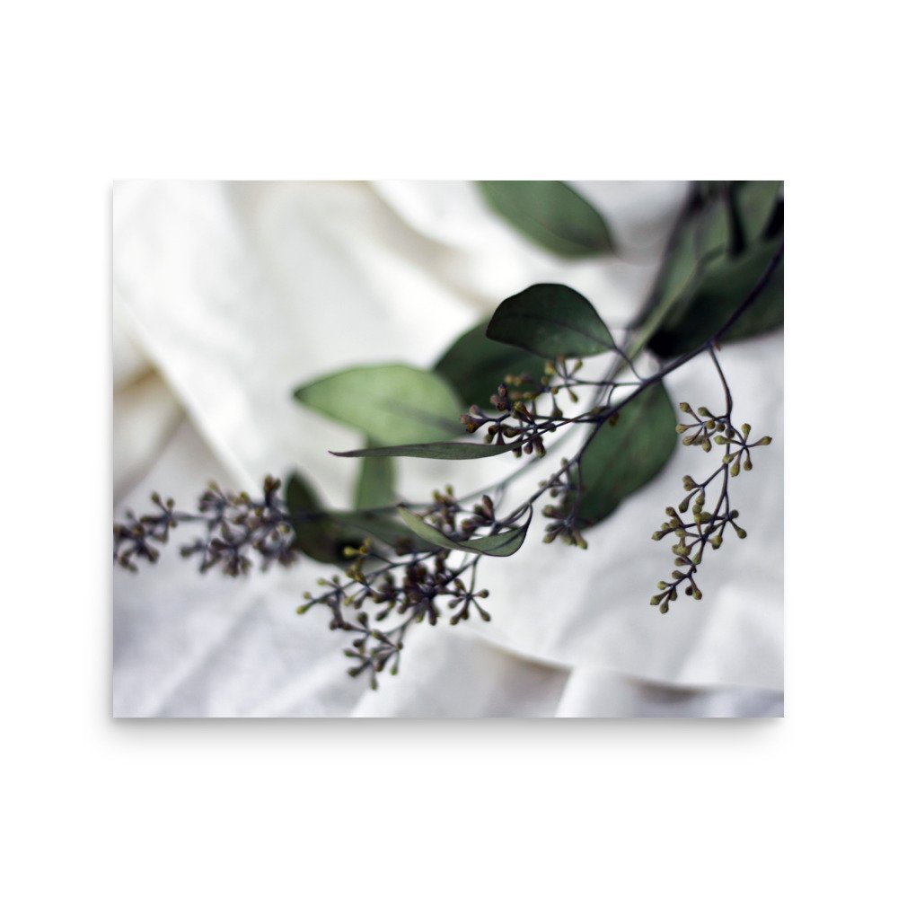 premium-luster-photo-paper-poster-(in)-16x20-front-69d9d8f428ef6.jpg