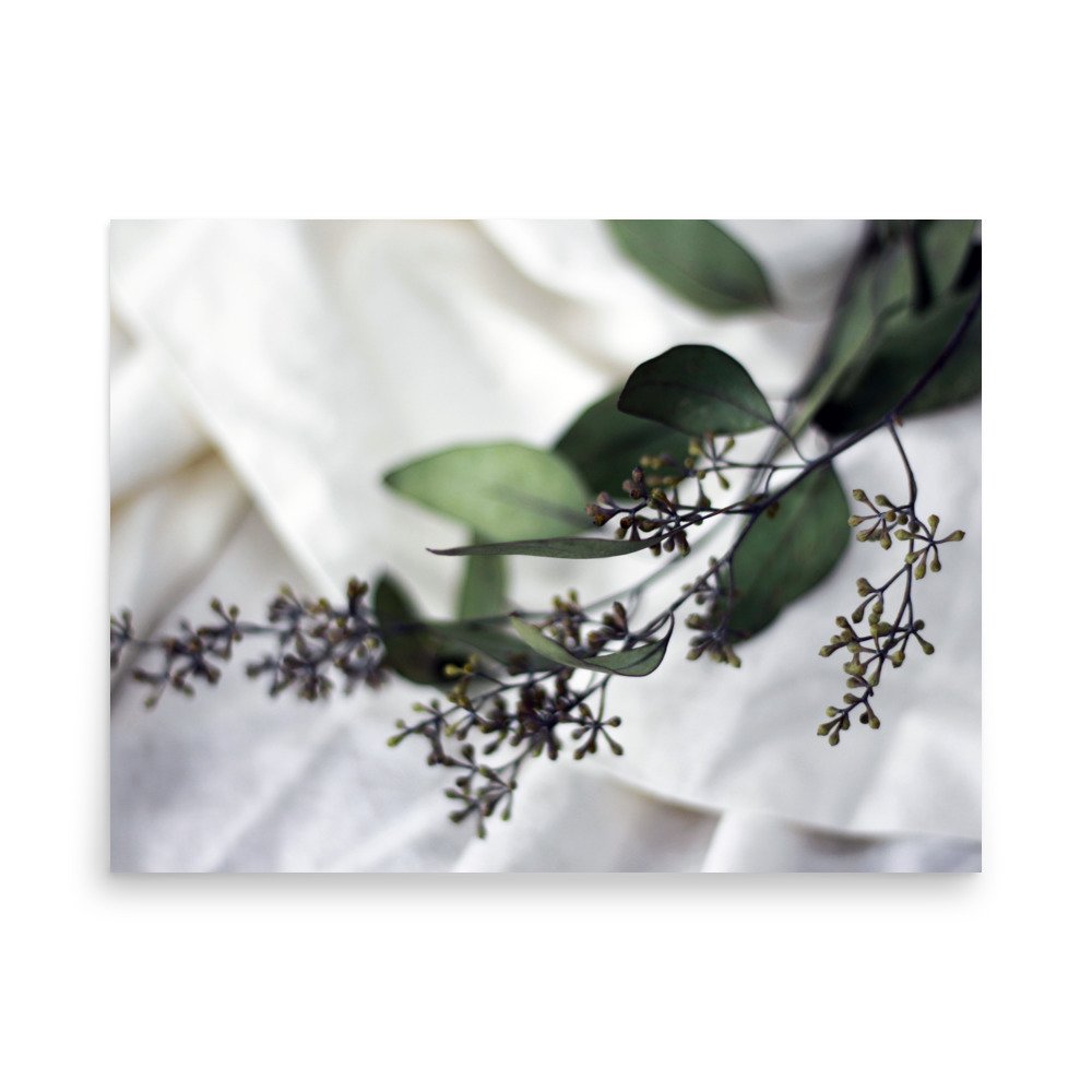 premium-luster-photo-paper-poster-(in)-18x24-front-69d9d8f429beb.jpg