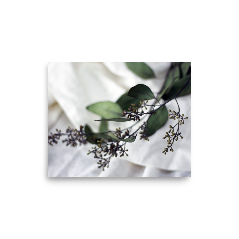 premium-luster-photo-paper-poster-(in)-8x10-front-69d9d8f4266f6.jpg