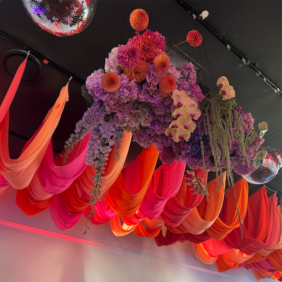 Little Laneway Coloured Ceiling draping.png