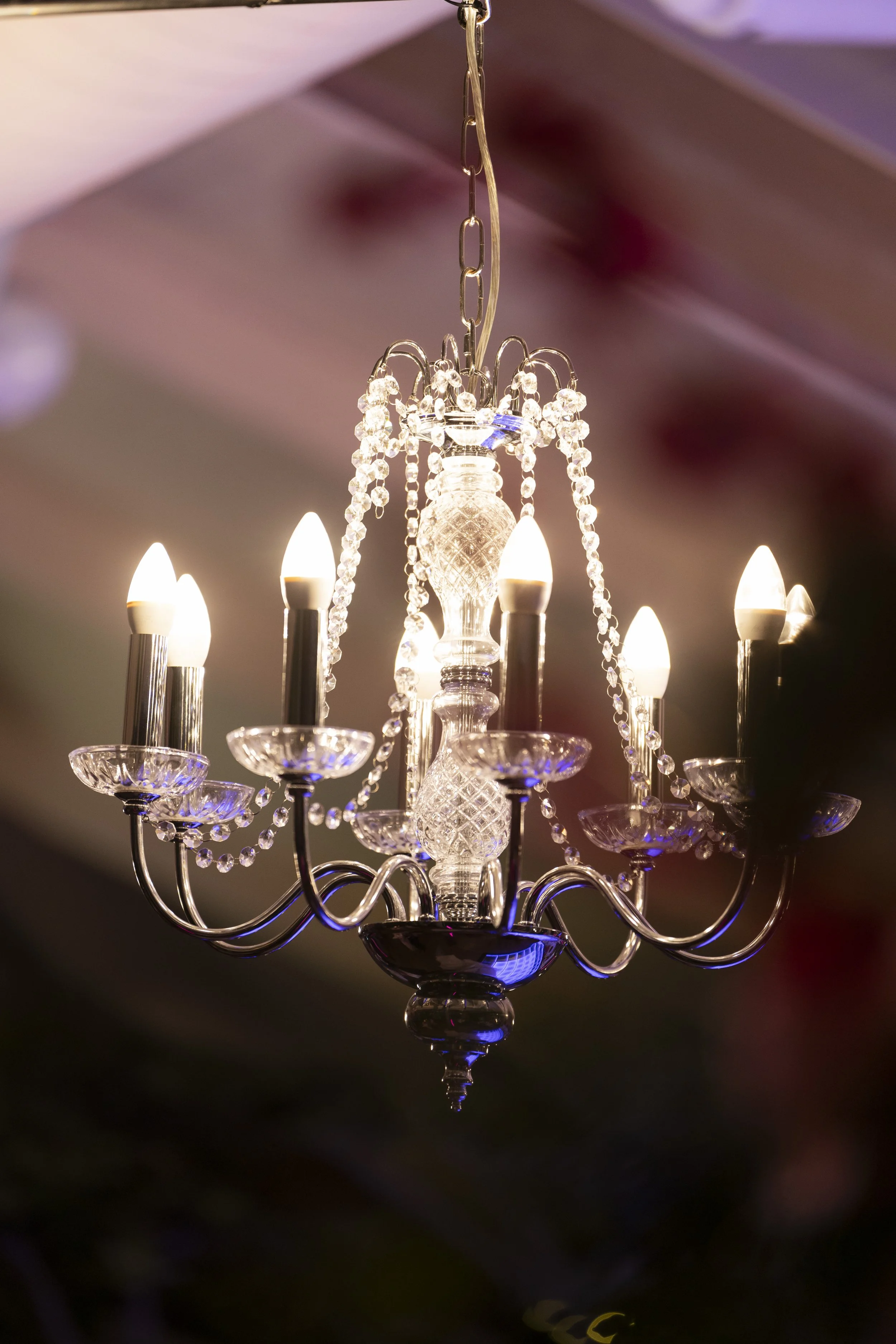 Abbey + Daniel Edit Collection-996.jpg