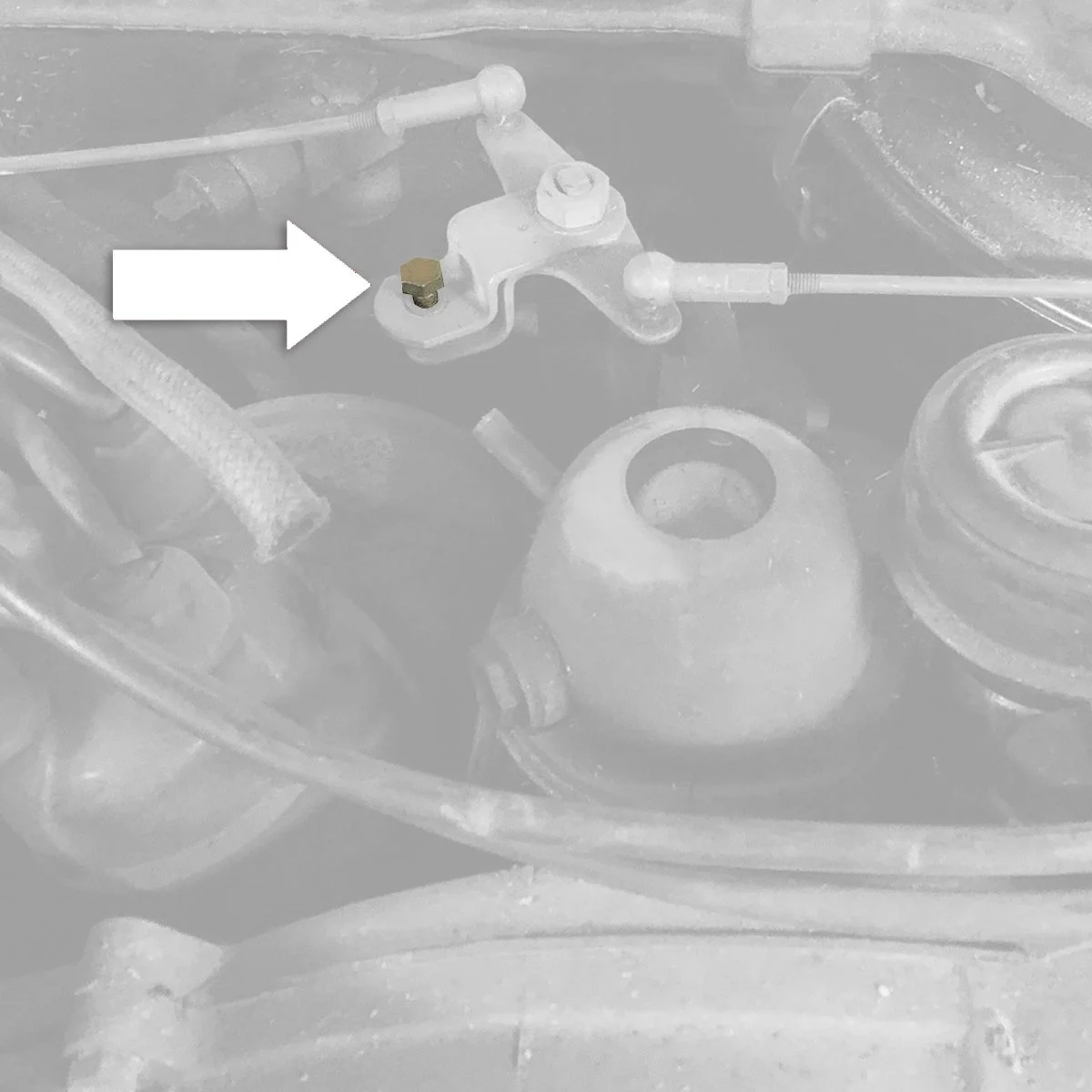 0917-250p2.jpg