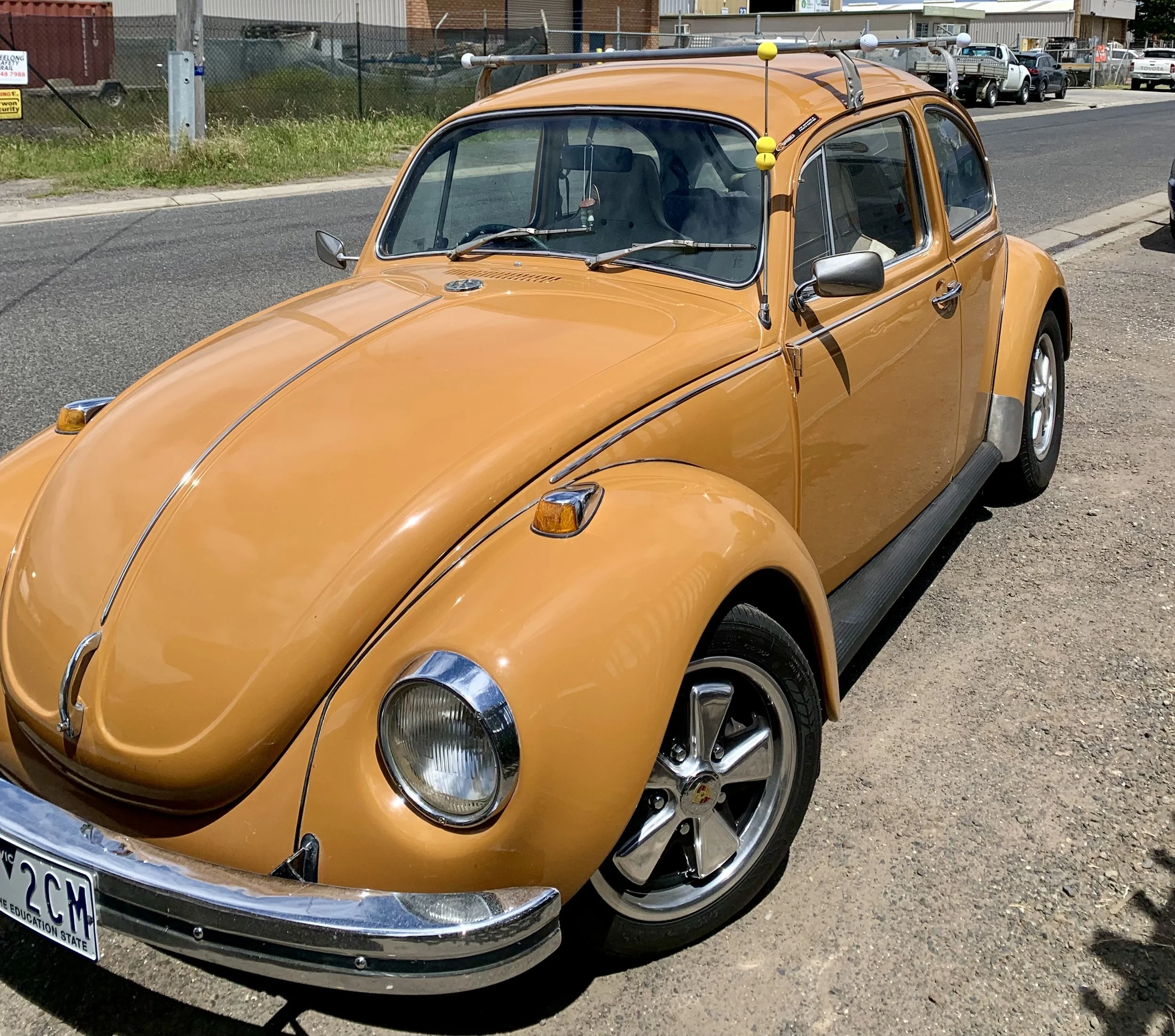 IMG_7498.jpeg (Copy)