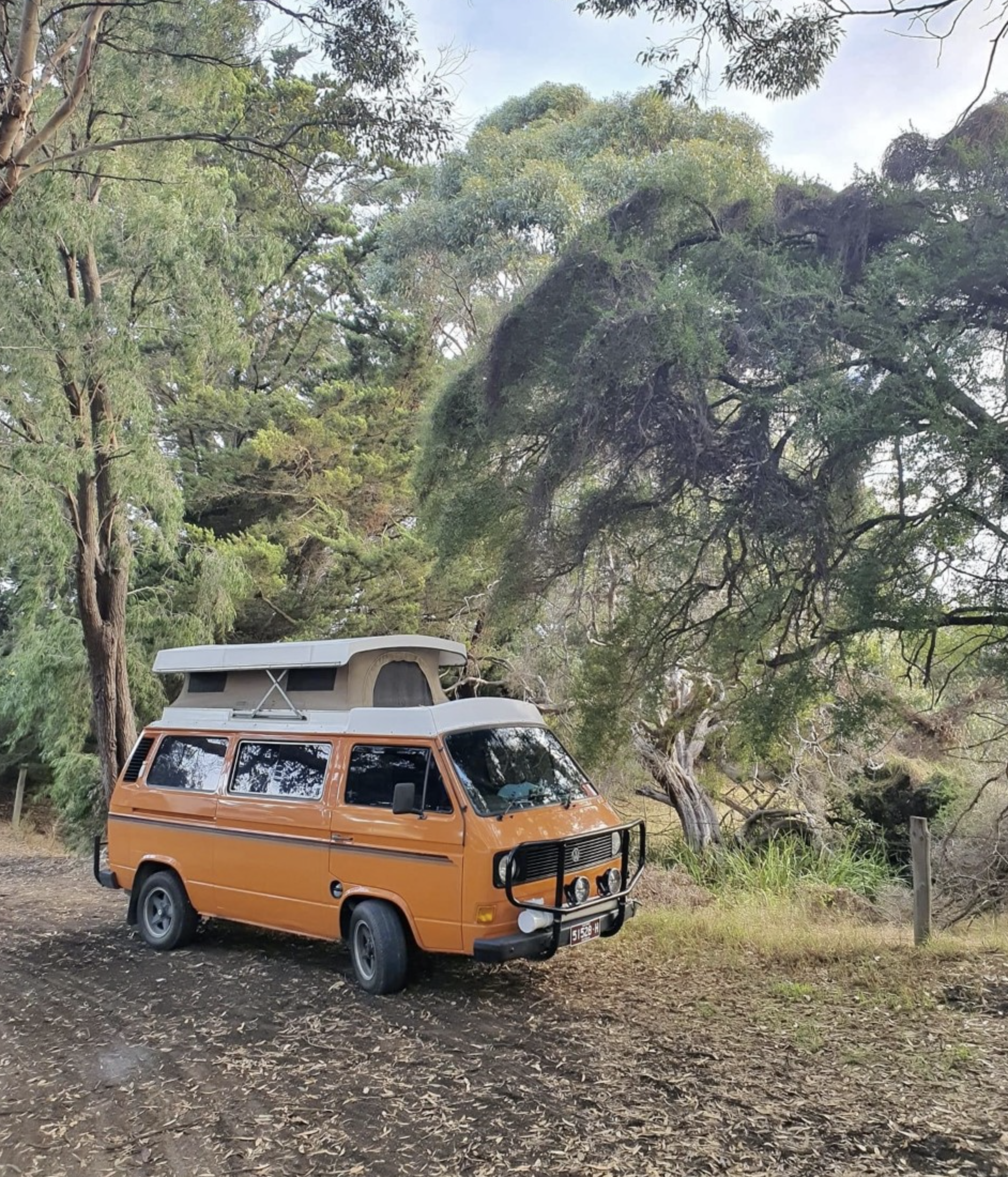 Screen Shot 2023-03-18 at 11.56.36 am.png