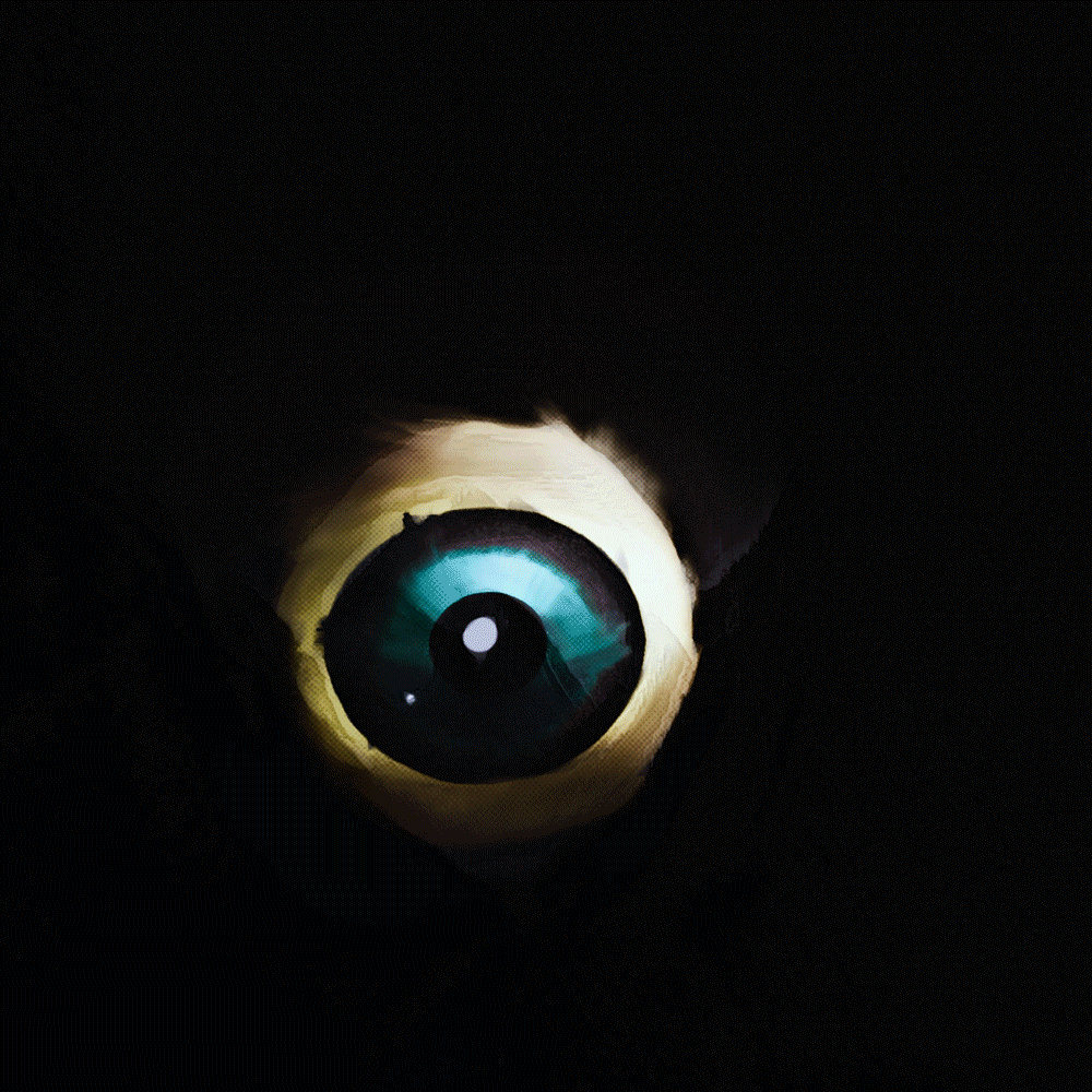 Memories_Eyeballs_02.gif