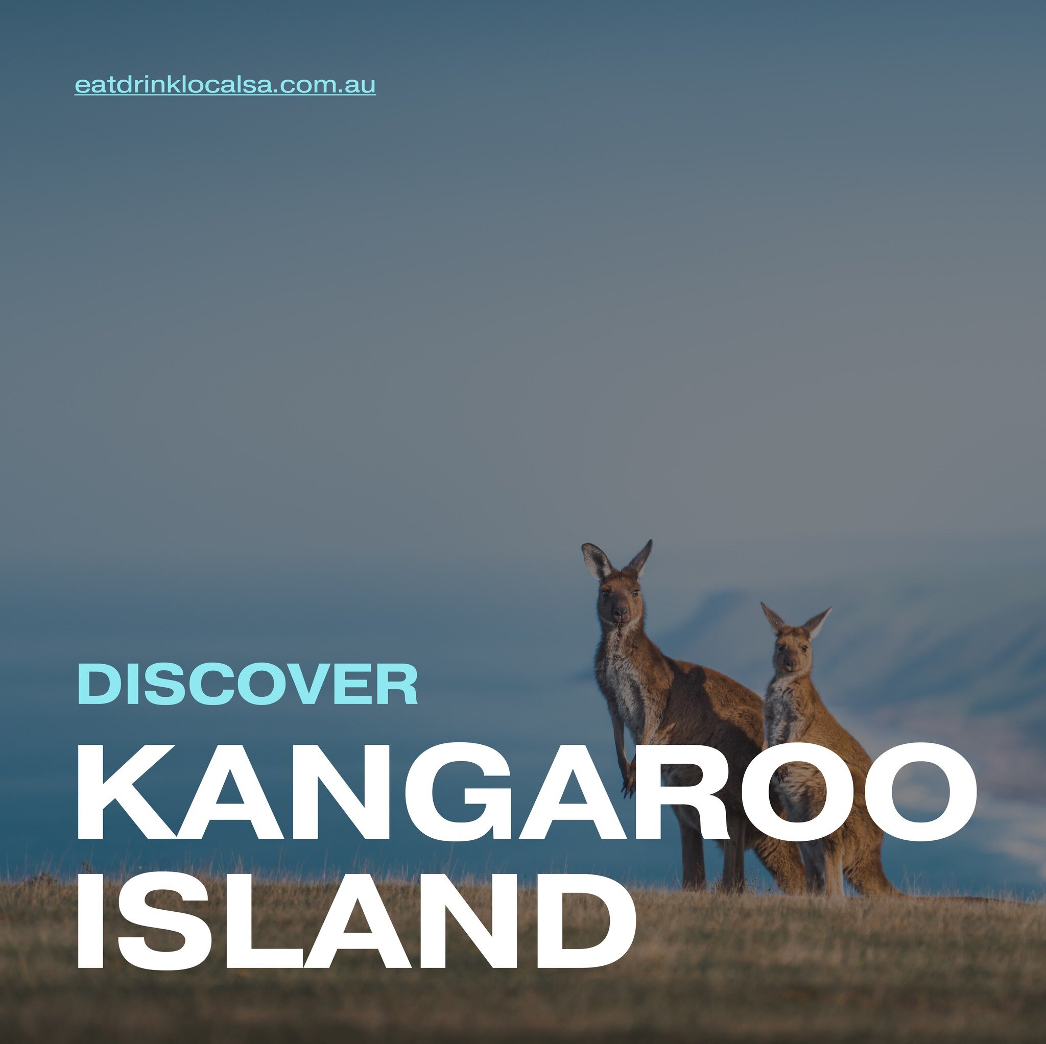 &ldquo;Oh, we must get over to KI soon.&rdquo; How many times have we said this or heard this? Well, let&rsquo;s finally do it! Truly an island for all seasons, Kangaroo Island is blessed with stunning scenery, unique experiences and a thriving (and 
