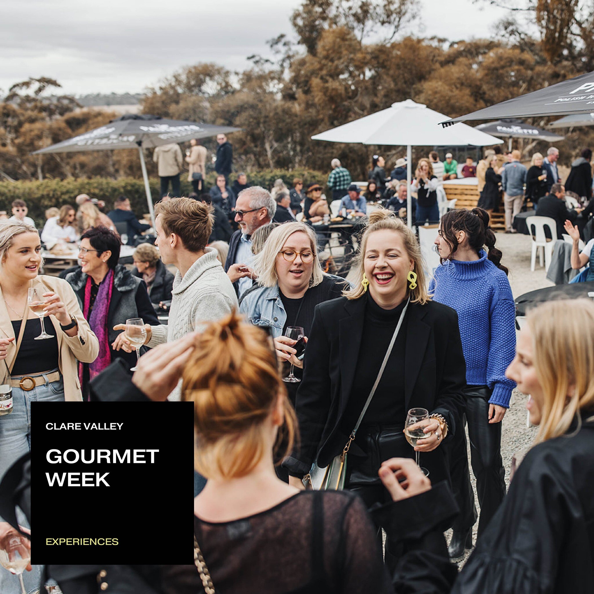 The state&rsquo;s gastronomical delights are continuing this weekend with @clarevalleygourmet kicking off! 

And of course we can&rsquo;t wait for ten whole days of food, wine, fun and festivities! From gourmet degustations featuring local produce, r
