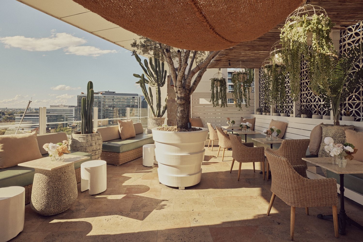 Open rooftop seating at MAYA with cacti and views over Fortitude Valley