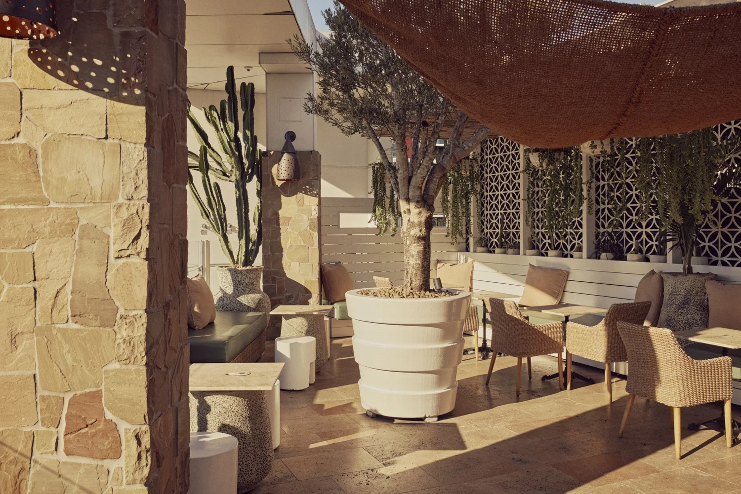 Courtyard lounge at MAYA with stone walls, cacti and an olive tree