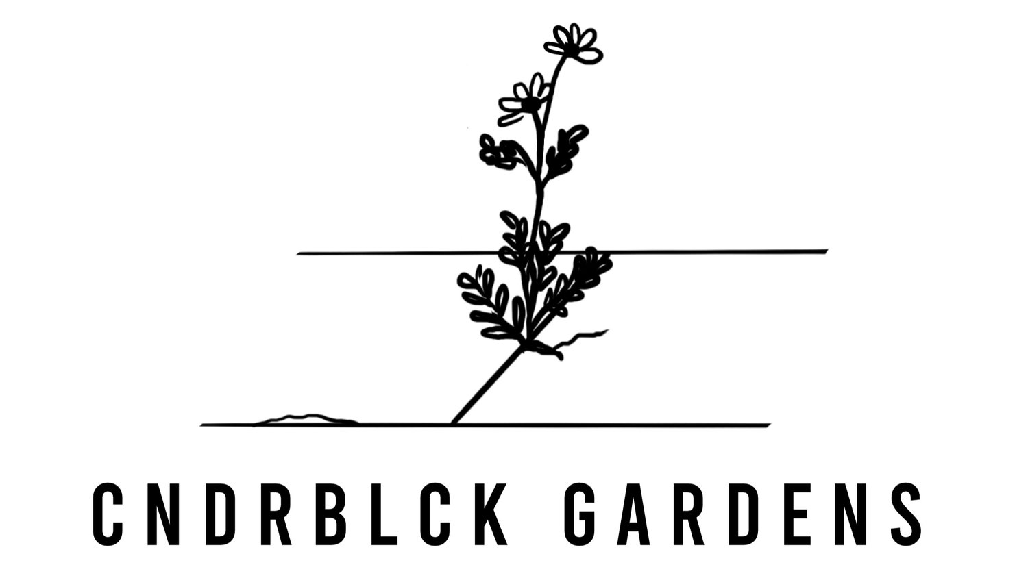 CNDRBLCK GARDENS