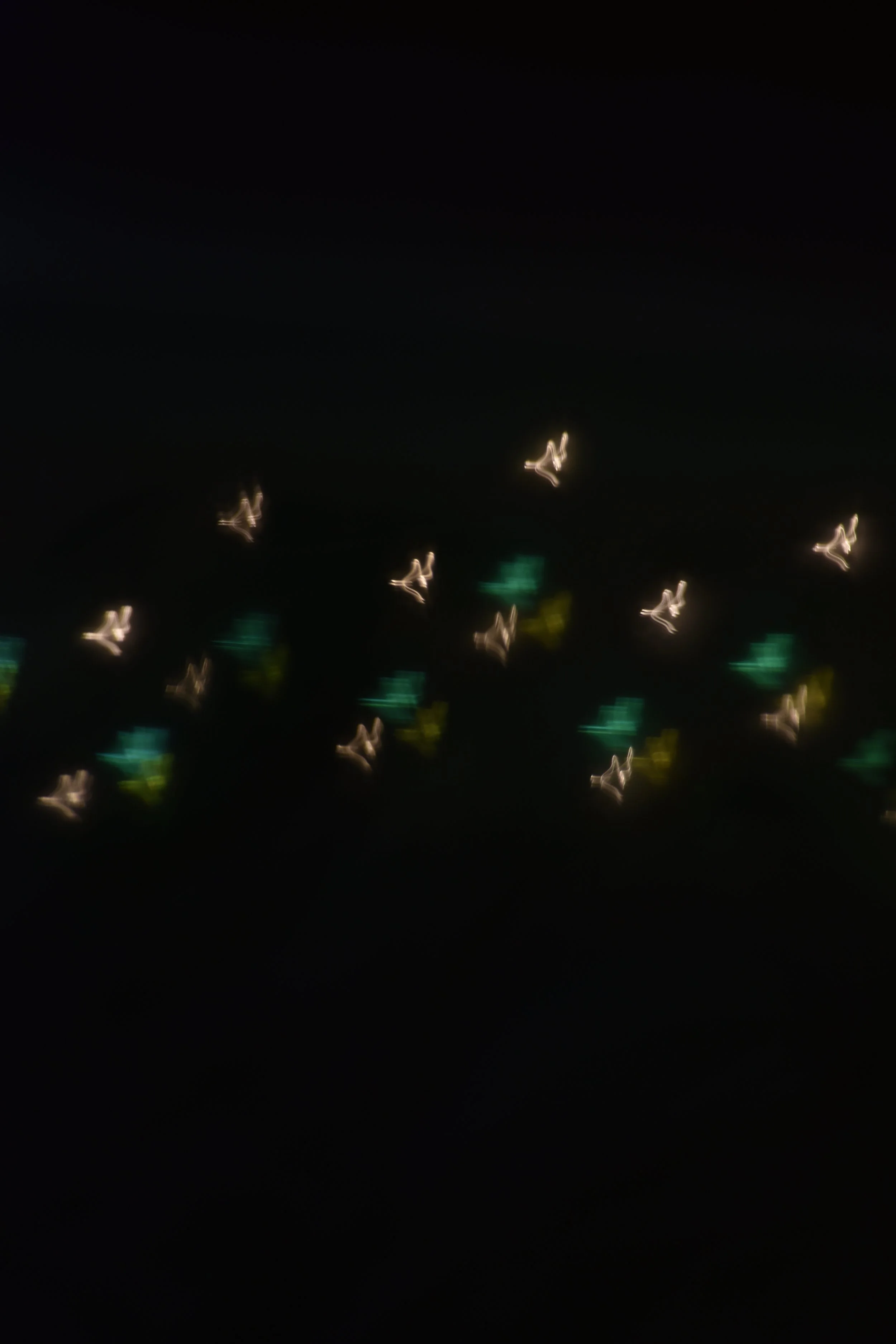3116CCA2-22EE-49CD-AC3F-8B86F6FAF44B.jpeg