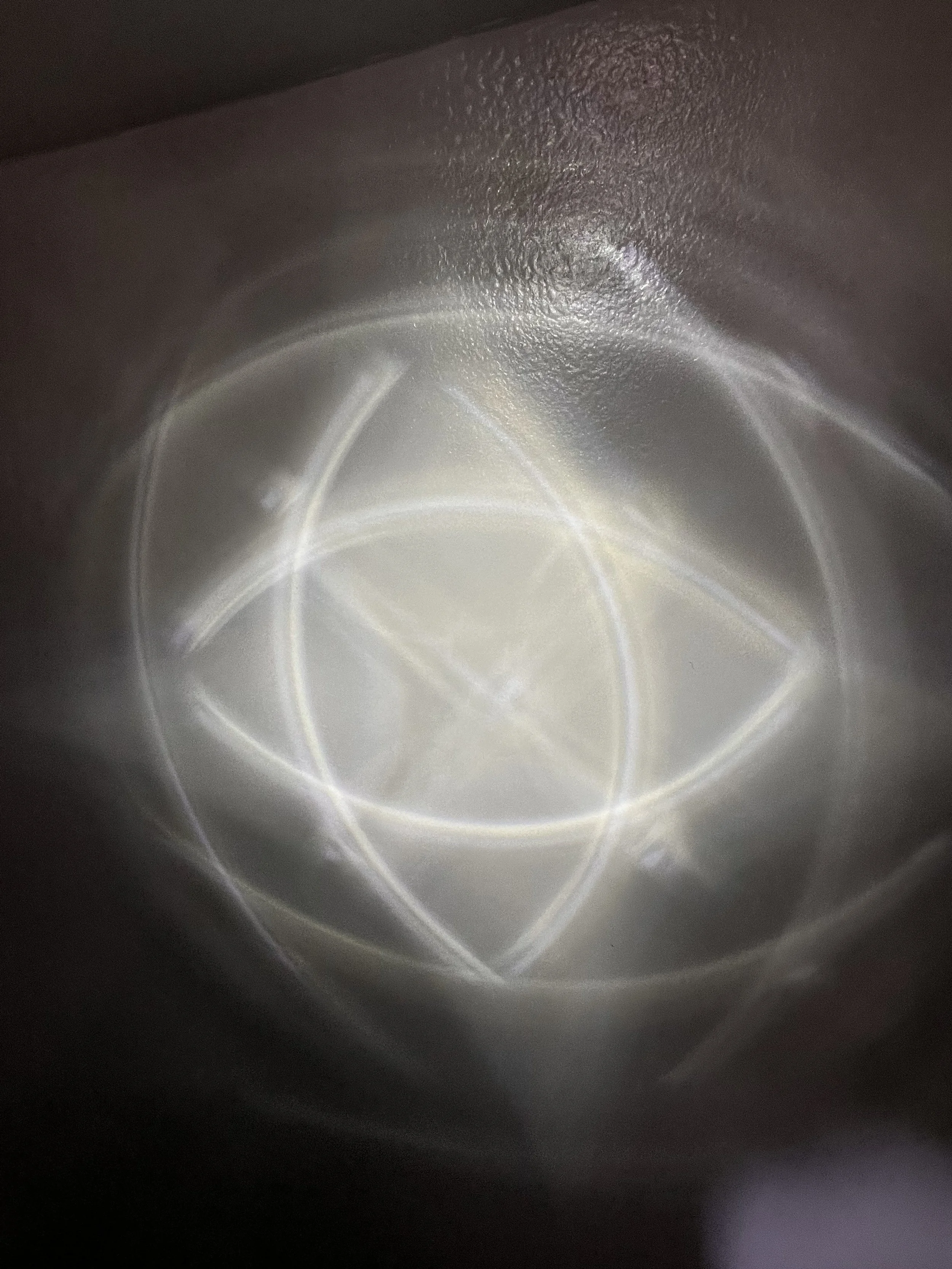 8B7E0D32-6812-41B3-A276-67C101D99952.jpeg