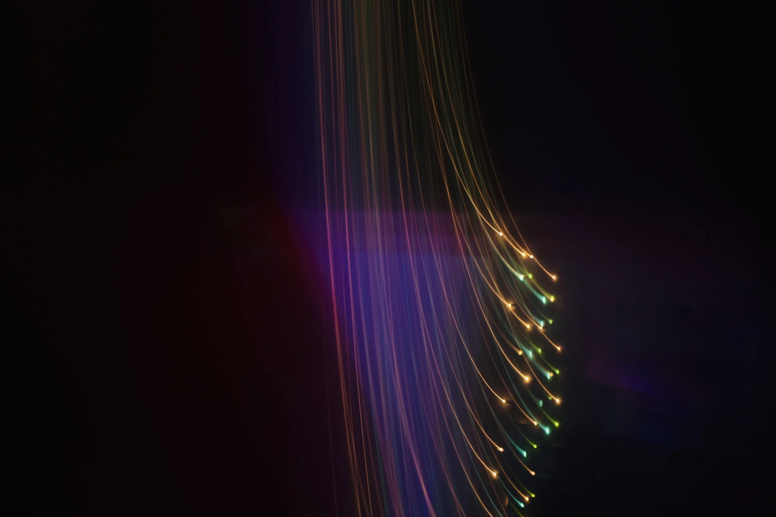 081DD694-3700-4D65-9312-D905AB851293.jpeg