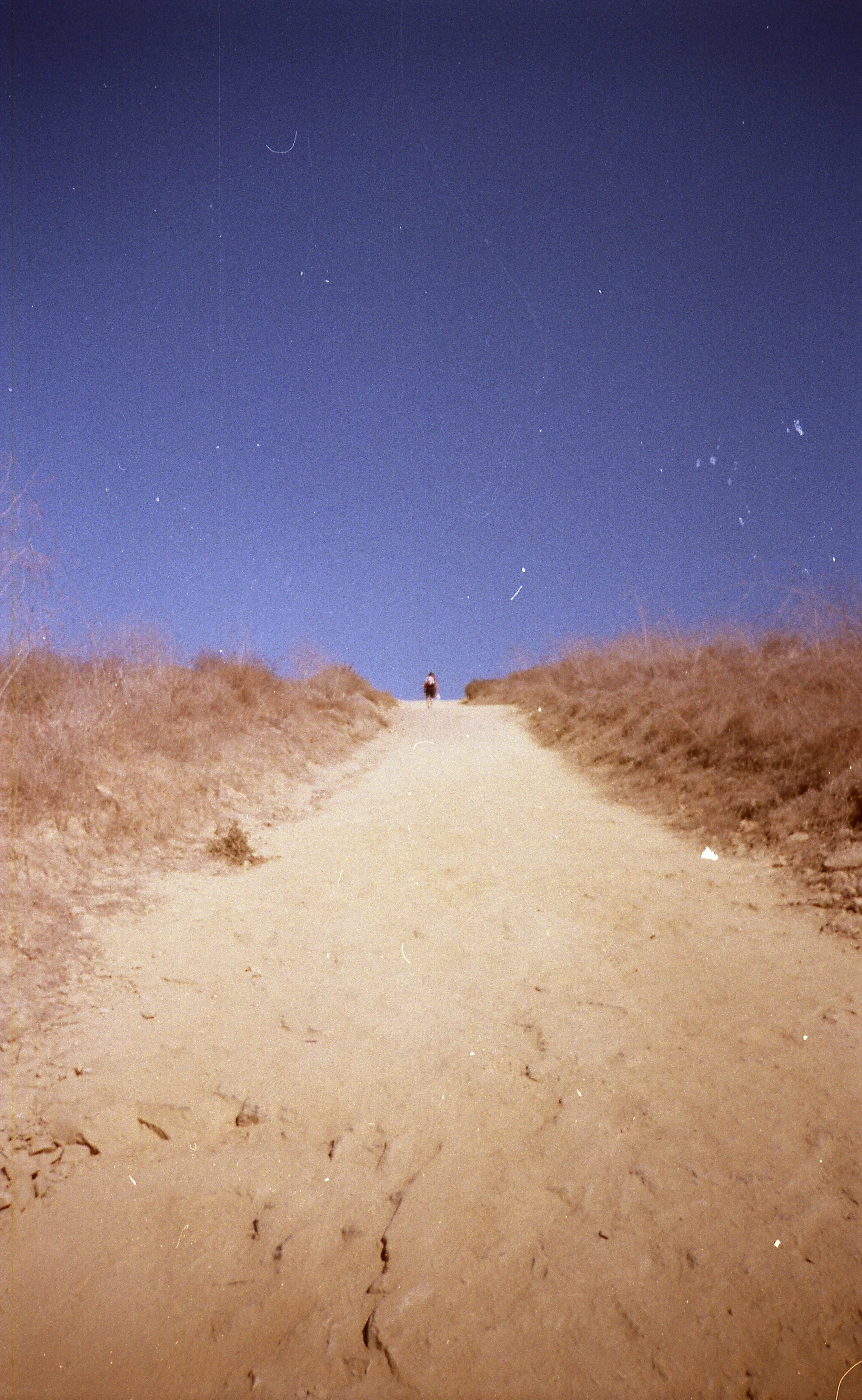 202410XX_California II Revue_019.jpeg