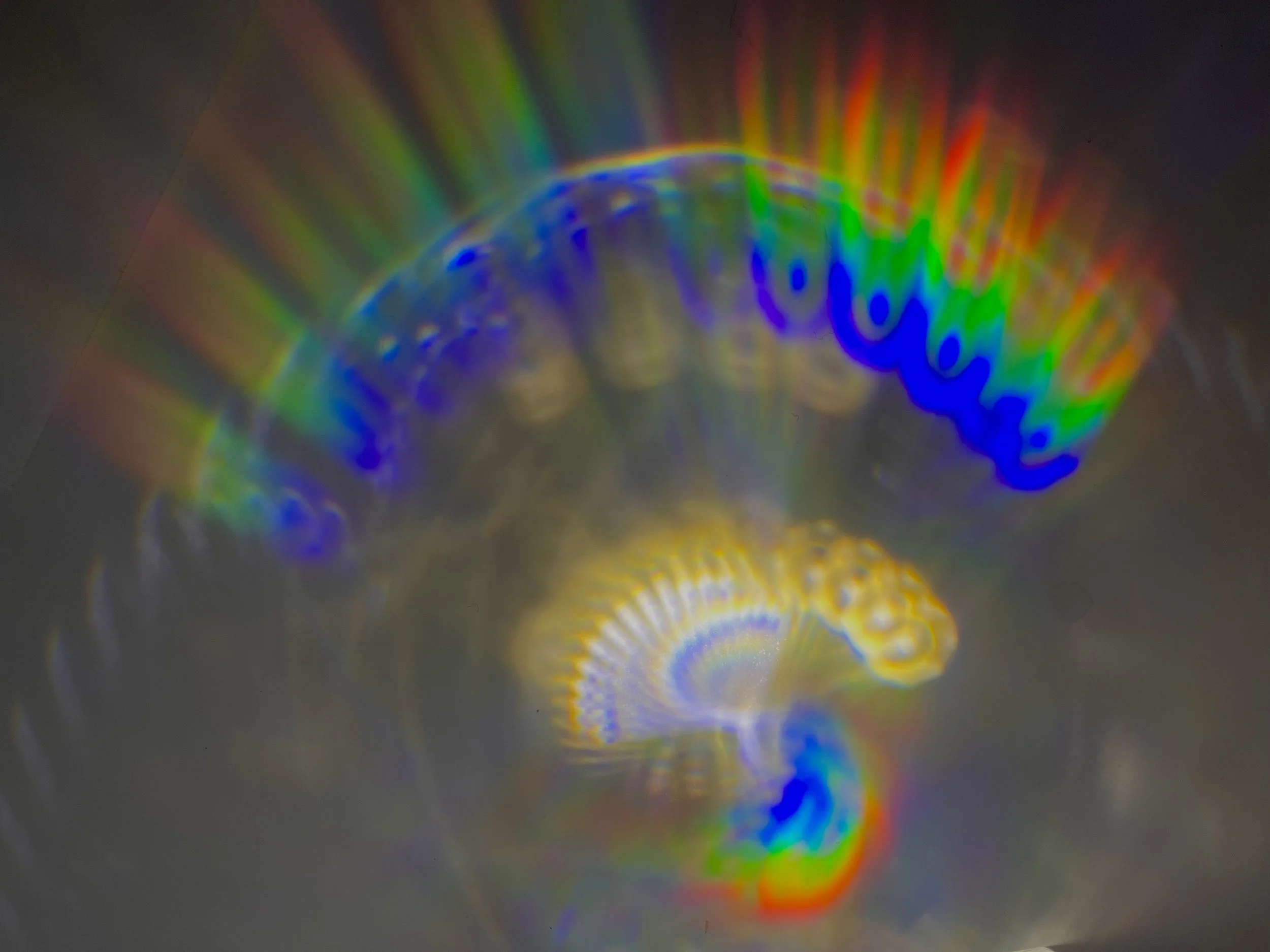 41CB3524-F966-405C-8195-85537E75CCEE.jpeg