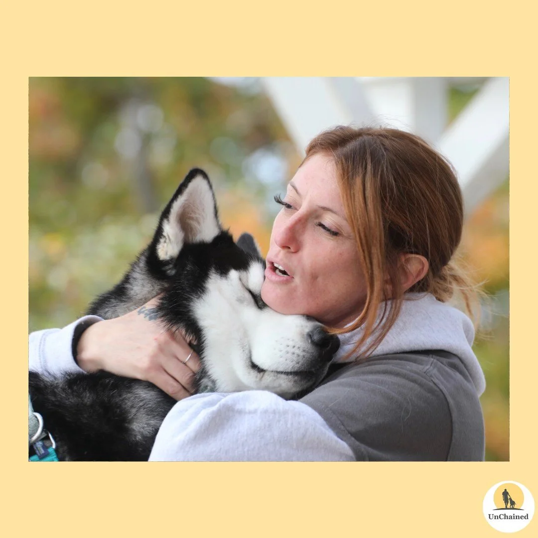 𝗔𝘁𝘁𝗲𝗻𝘁𝗶𝗼𝗻 𝗮𝗻𝗶𝗺𝗮𝗹 𝗹𝗼𝘃𝗲𝗿𝘀 𝗮𝗻𝗱 𝘆𝗼𝘂𝘁𝗵 𝗺𝗲𝗻𝘁𝗼𝗿𝘀, 𝗨𝗻𝗖𝗵𝗮𝗶𝗻𝗲𝗱 𝗶𝘀 𝗵𝗶𝗿𝗶𝗻𝗴!⁣ 🐕
⁣
Join our team at UnChained and make a real difference in the lives of homeless dogs and vulnerable youth in 𝗦𝗮𝗹𝗶𝗻𝗮𝘀, 𝗦?