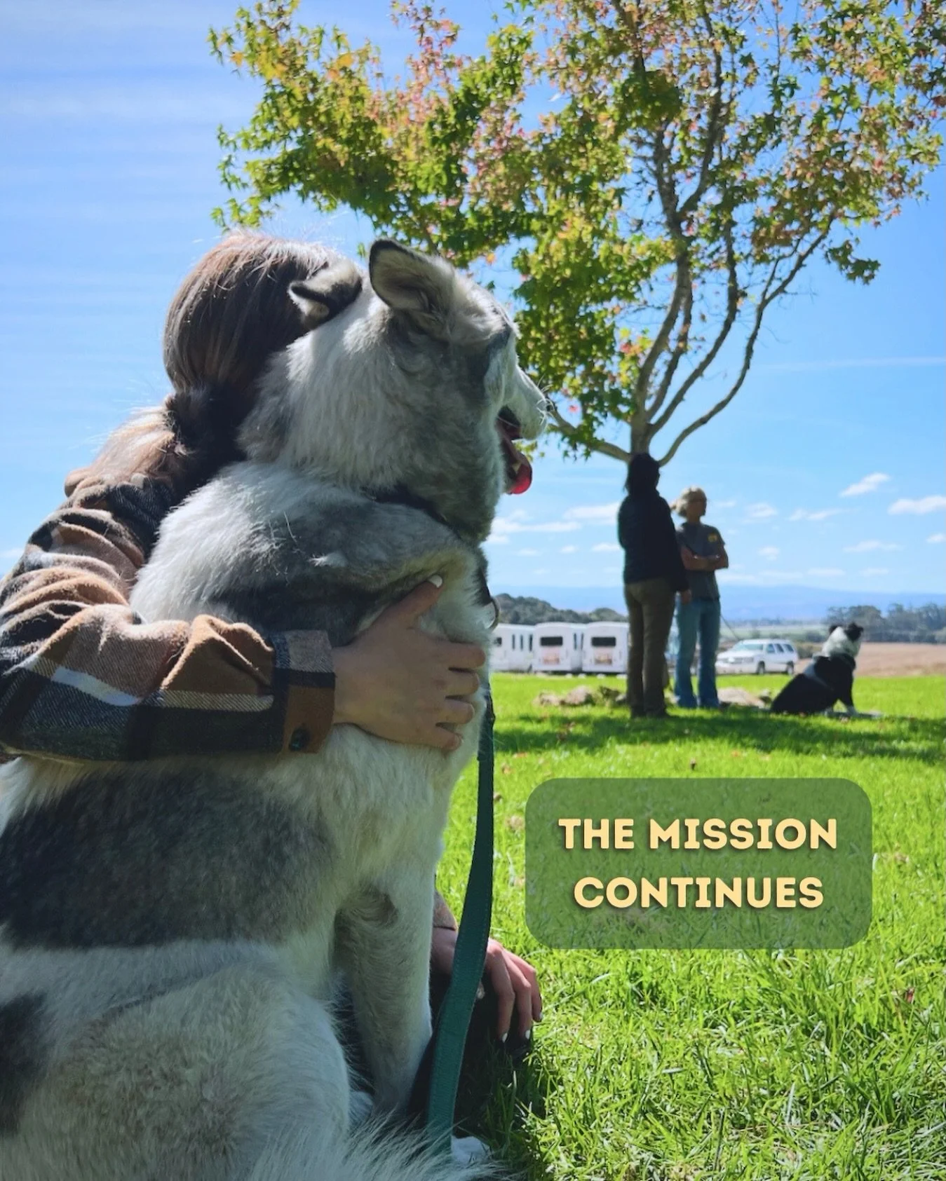 The mission continues! ❤️

In our most recent newsletter, we shared that UnChained would dissolve as a nonprofit. That timeline has changed for the best reason: We found a local organization to adopt our program!

UnChained will eventually close its 