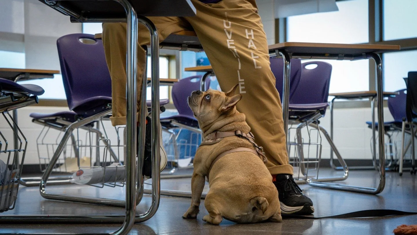 &ldquo;He holds the leash. She finds her safety.

Behind every breakthrough Gigi makes, a young man is holding the leash, teaching her she is safe. 🤝

This work relies on a village of safety&mdash;from the officers at Monterey County Probation to ou