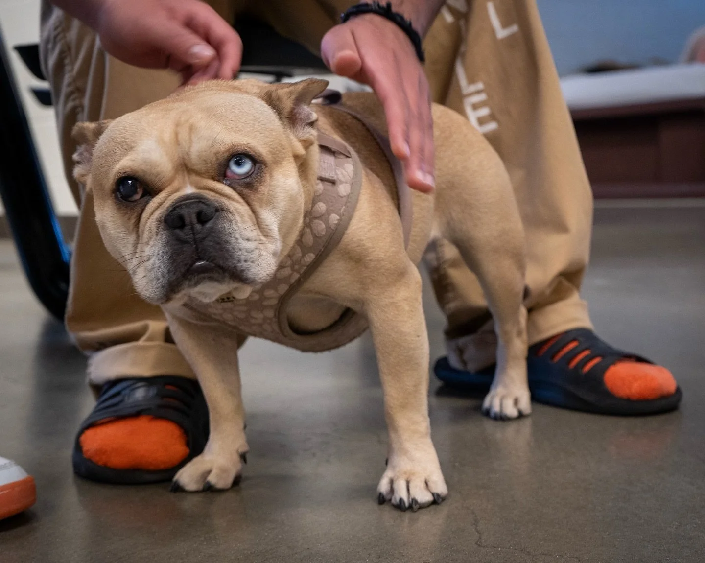 The hardest skill is silence. 🧘

When Gigi is overwhelmed, the youth do not force movement.
They just sit with her.

Strength is not dominance.&nbsp;
It is the courage to witness heaviness. Without trying to fix it. 🪷

Presence becomes instinct. 
C