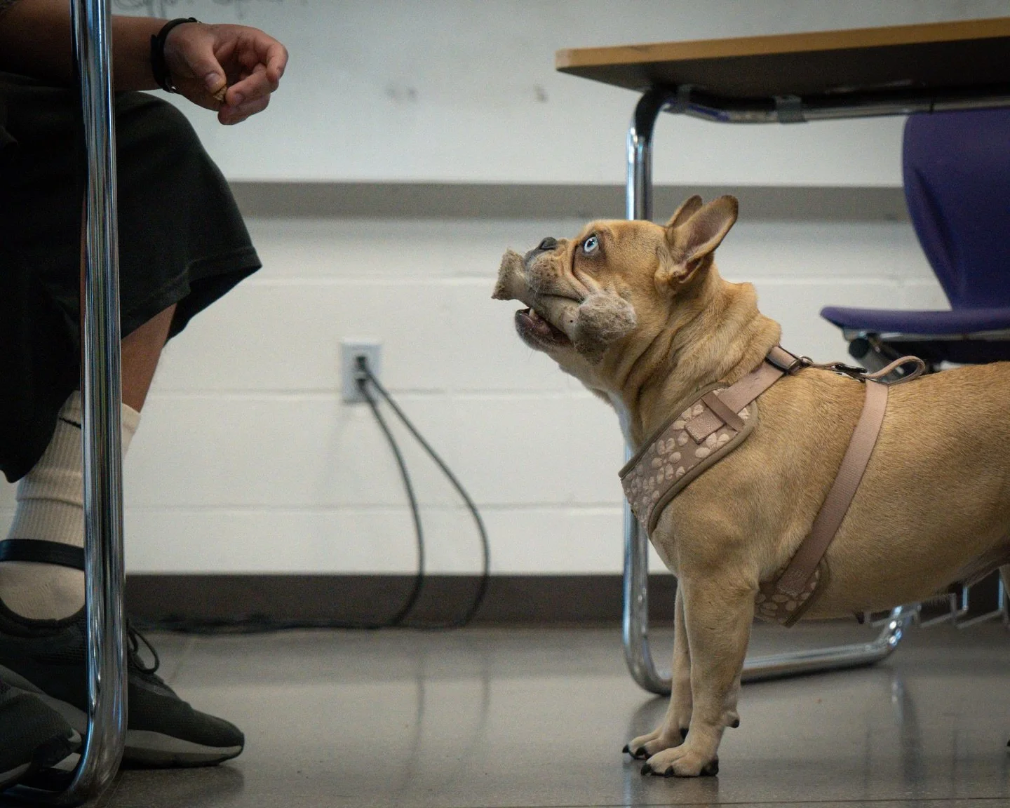 "Real growth is rarely a straight line. 🌀

There are clean days.
There are messy days.

When Gigi is distracted, the youth do not force the outcome.
They choose to reset. 🔄

Patience is a powerful skill.
It is knowing that a bad session does n