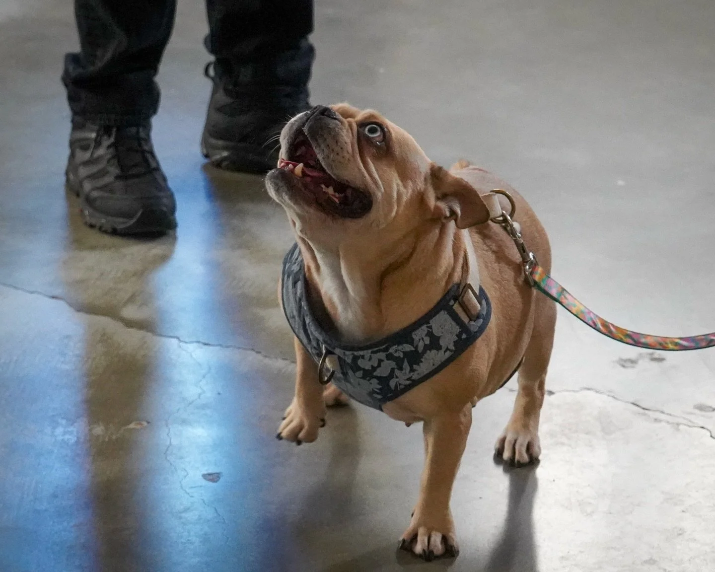 In the hall, noise is constant. 😓

The youth often think they have to be loud to be heard. 
Gigi teaches them the opposite.

If they yell, she checks out. 
If they get clear, she leans in. ✨

They&rsquo;re learning that she doesn&rsquo;t follow the 