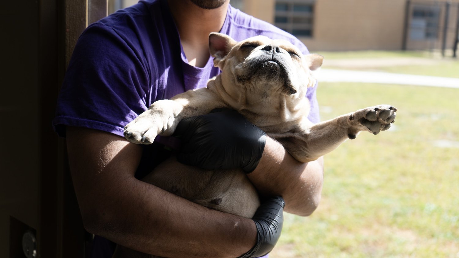 A program participant shares a calm moment with a rescue dog through UnChained’s relationship-based work.