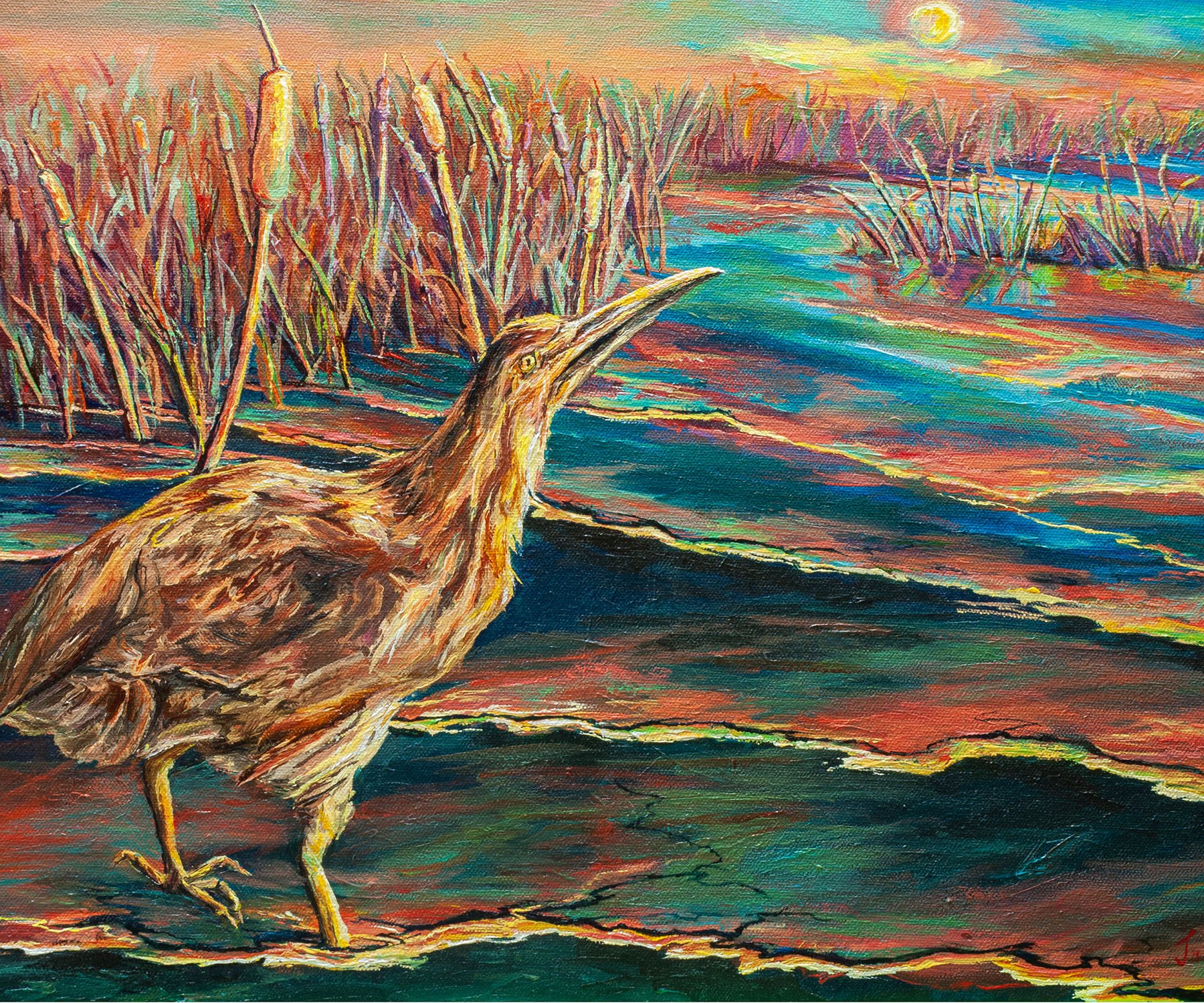 Don't Be Bittern (American Bittern), 16" x 20", iridescent acrylic on canvas, $ 470-