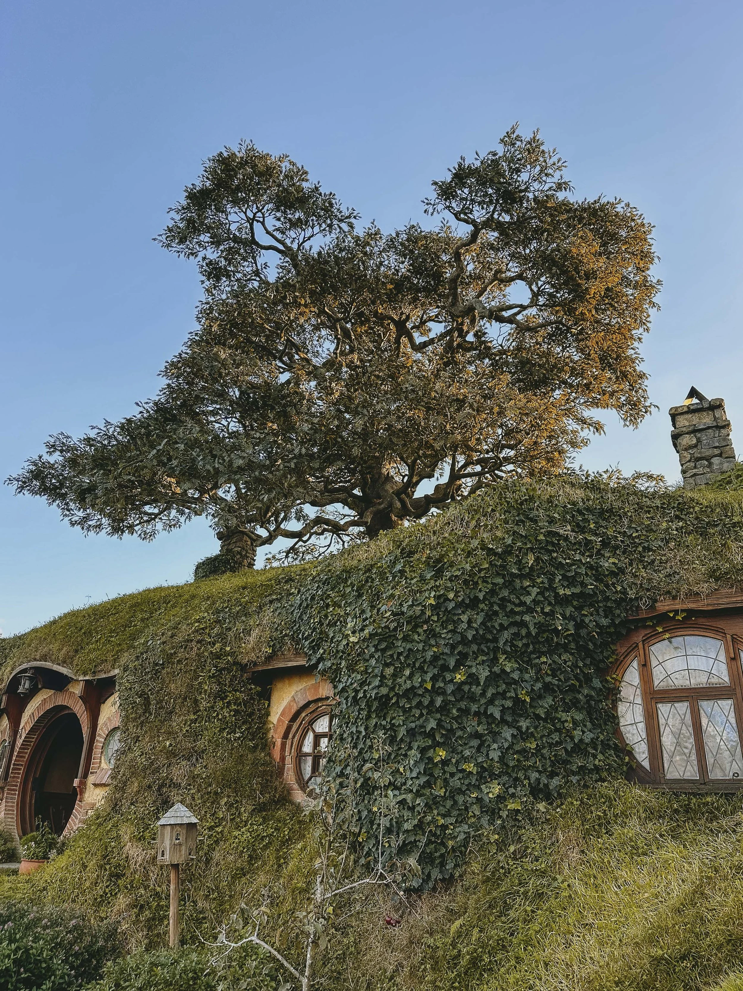 hobbiton-4.jpg