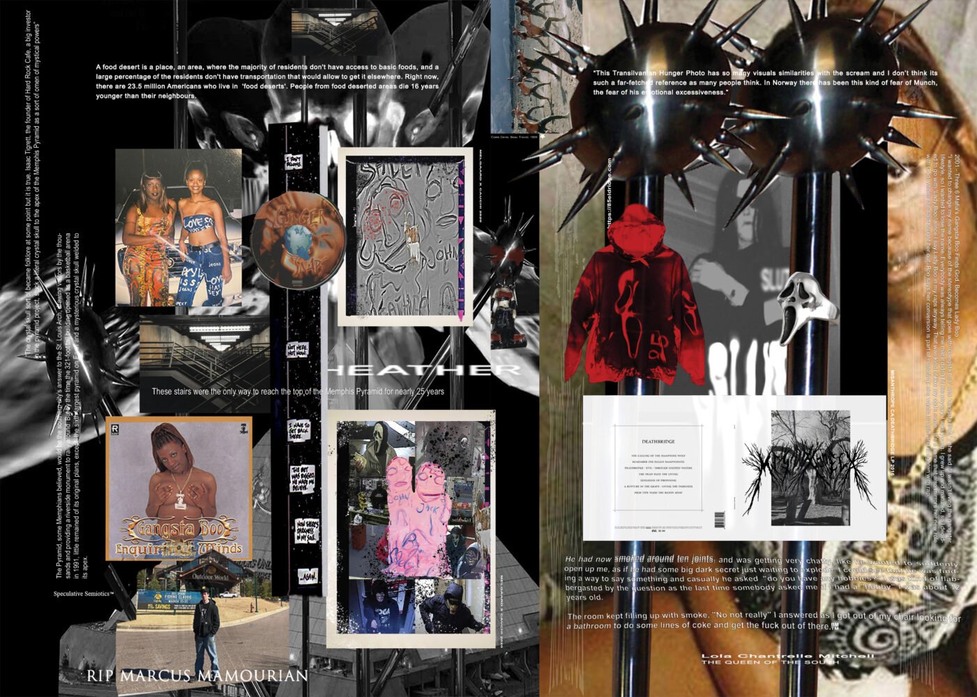 SP-website-4-1401x1000.jpg